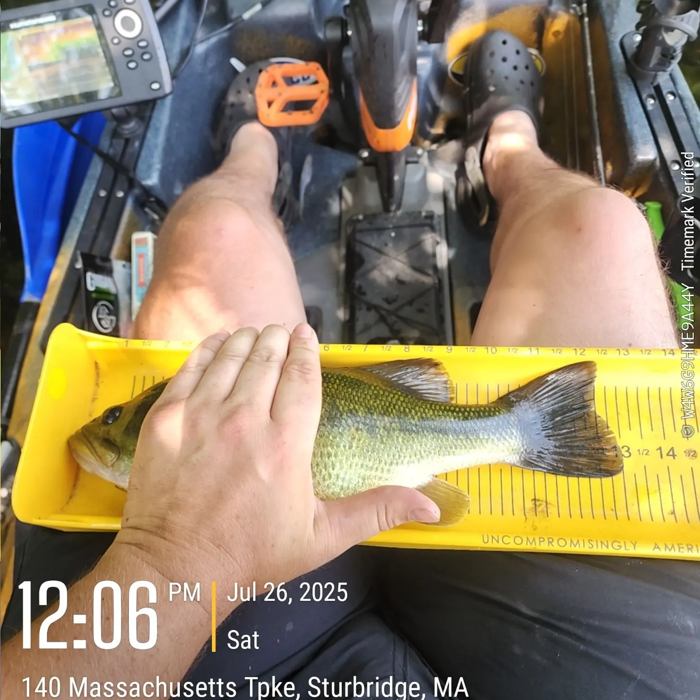 recently logged catches