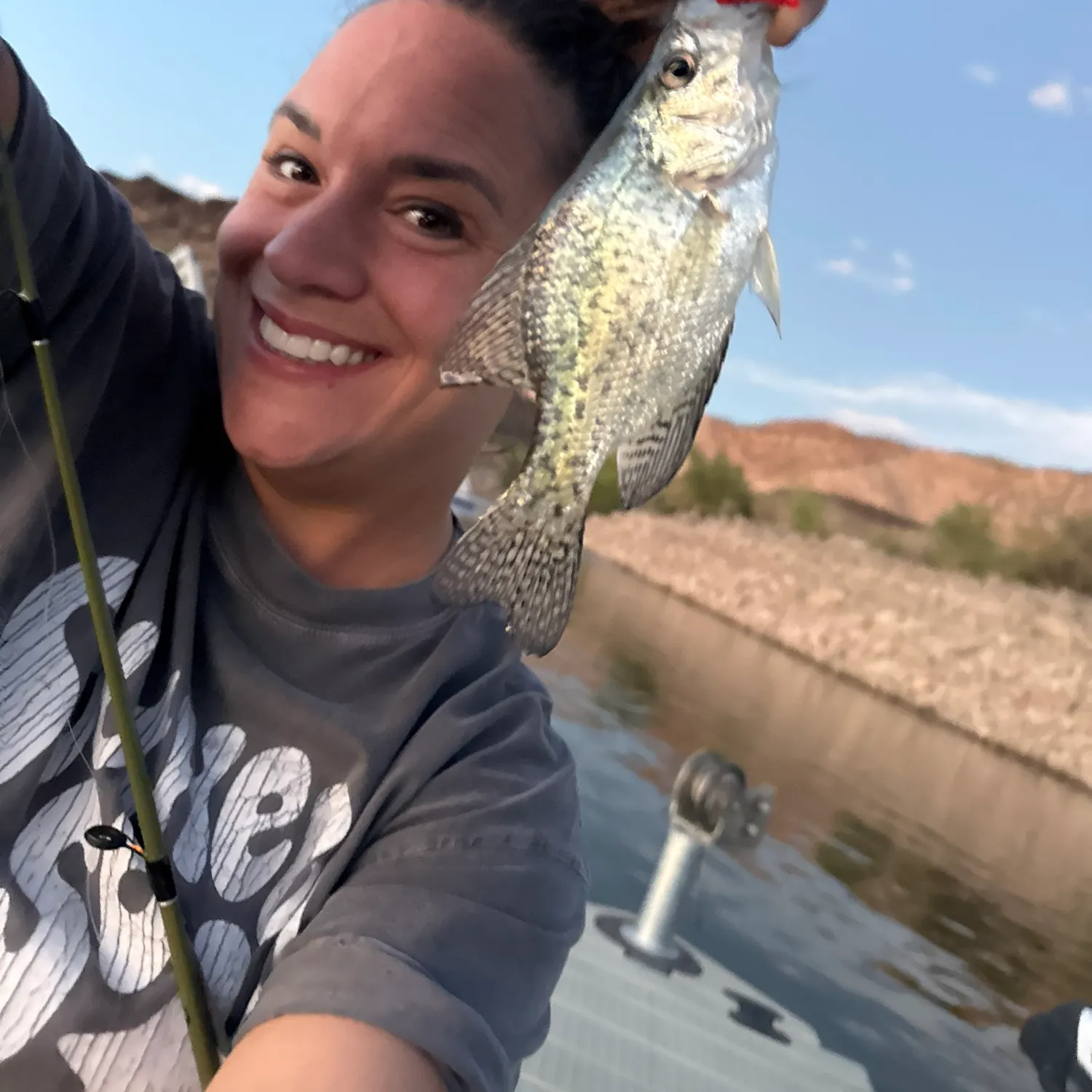 Black crappie caught on Fishbrain