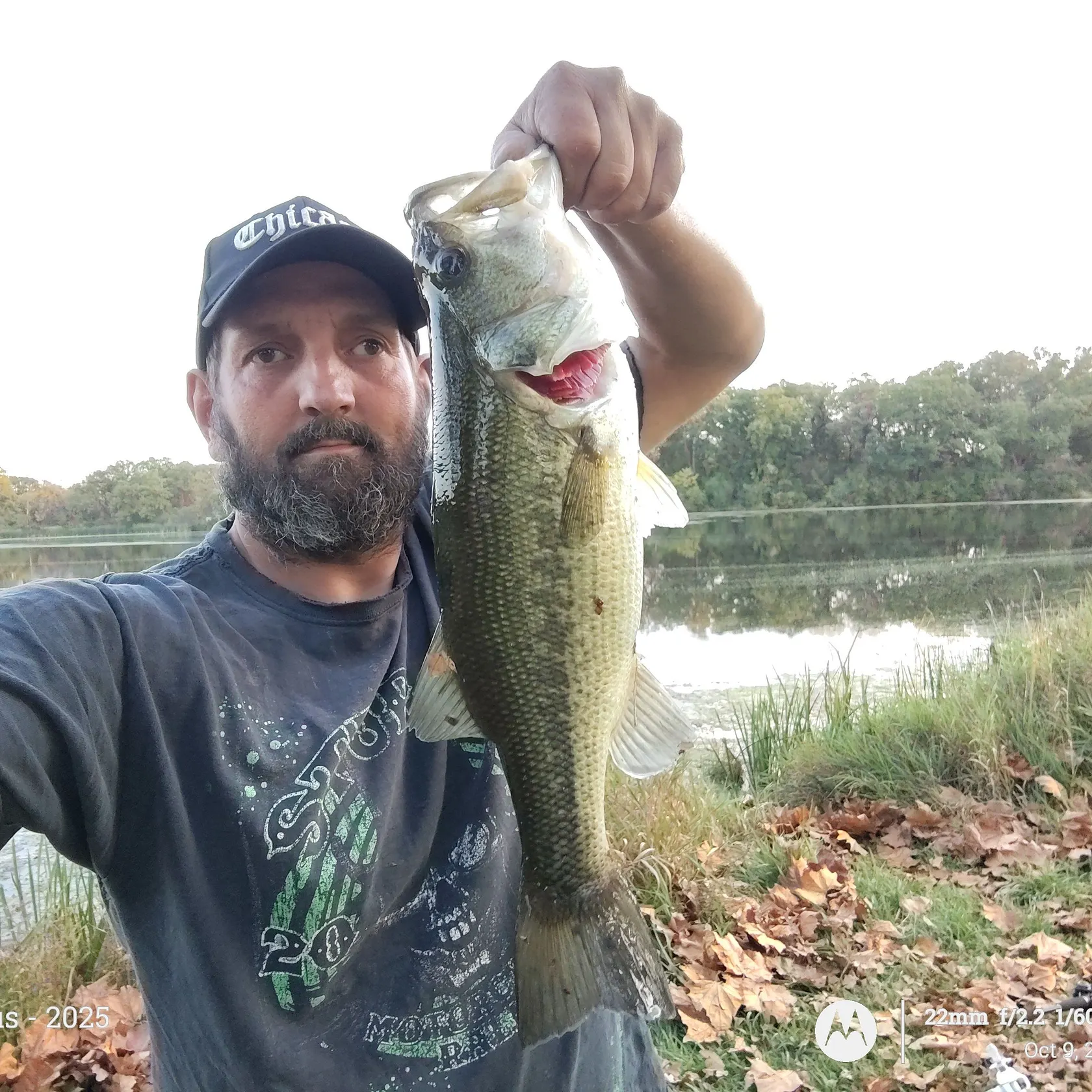 Largemouth bass caught on Fishbrain