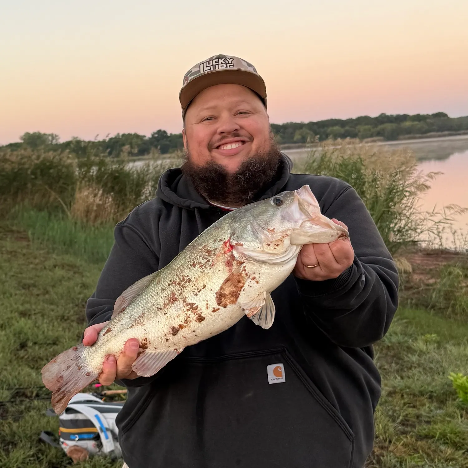 Largemouth bass caught on Fishbrain