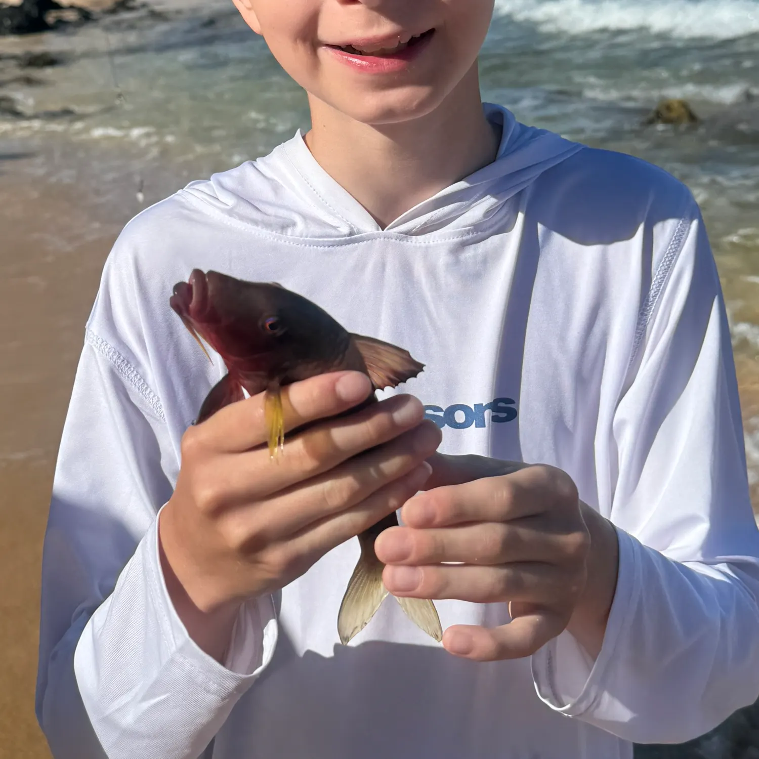 The most recent Manybar goatfish catches on Fishbrain