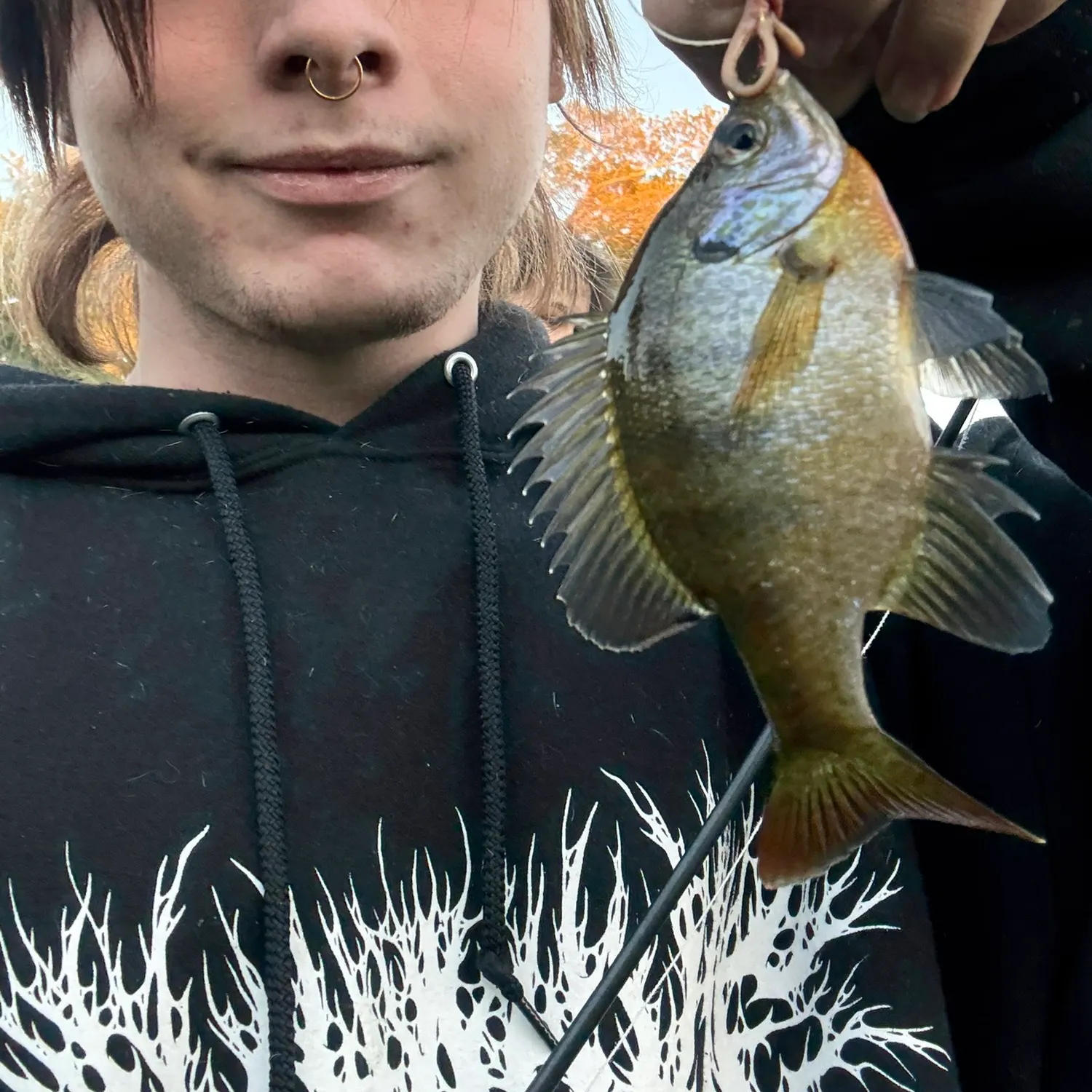 The most recent Bluegill catches on Fishbrain
