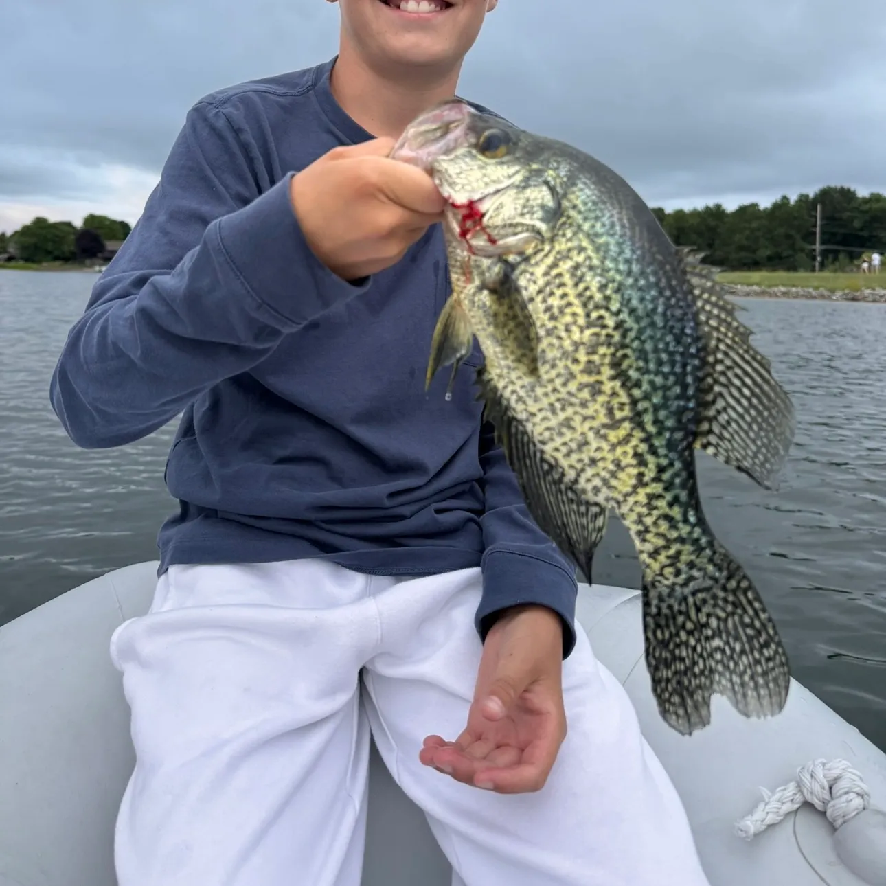 Black crappie caught on Fishbrain