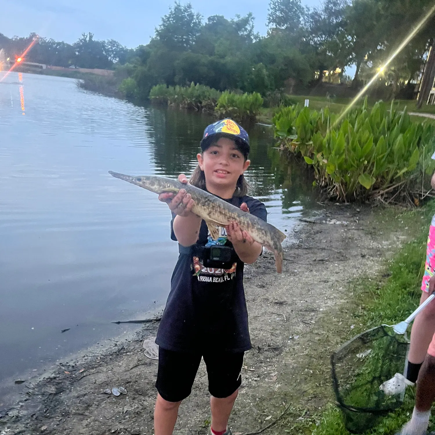 The most recent Florida gar catches on Fishbrain