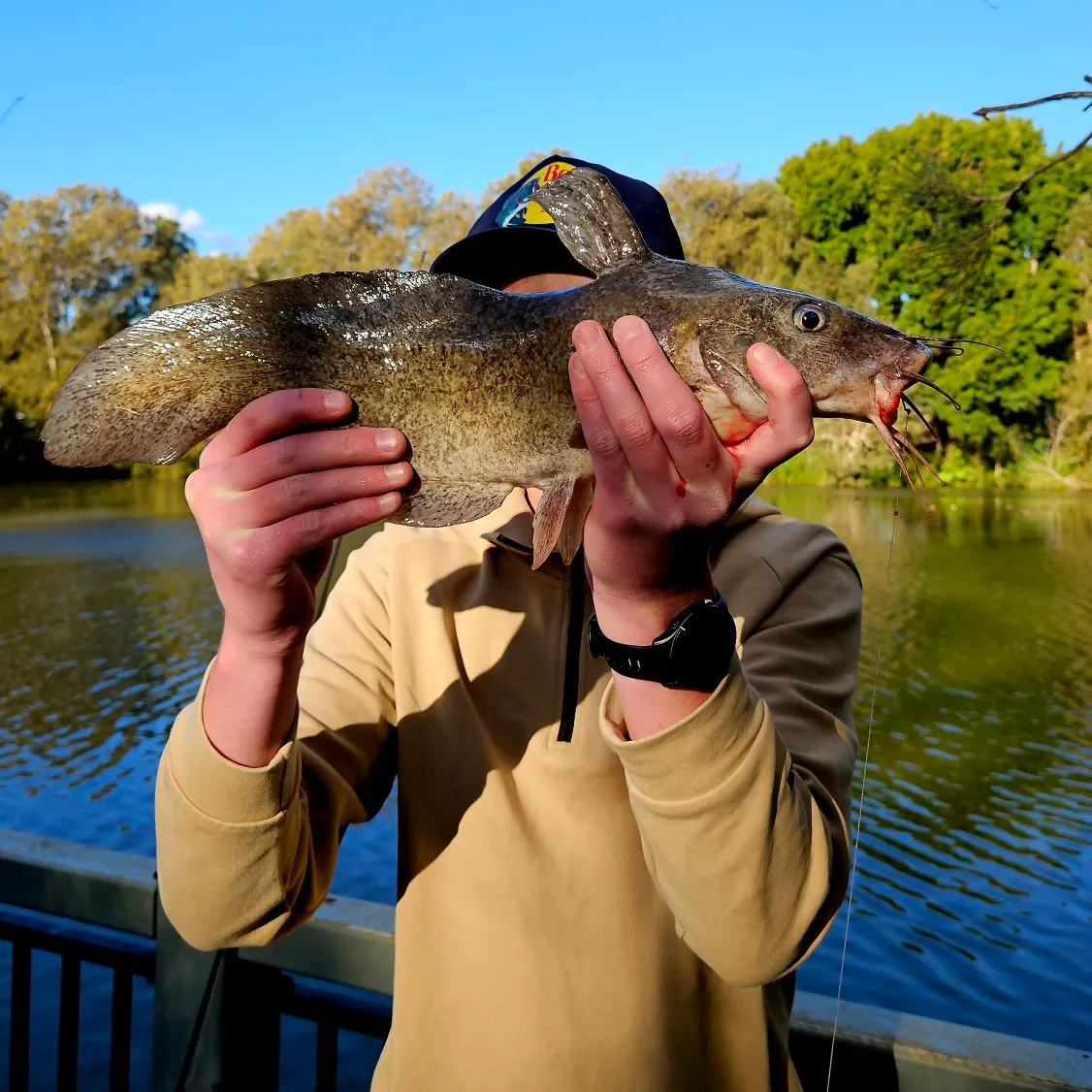 The most recent Dewfish catches on Fishbrain