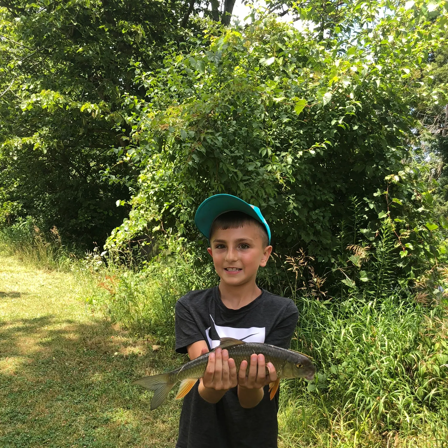 The most recent Smallmouth redhorse catches on Fishbrain