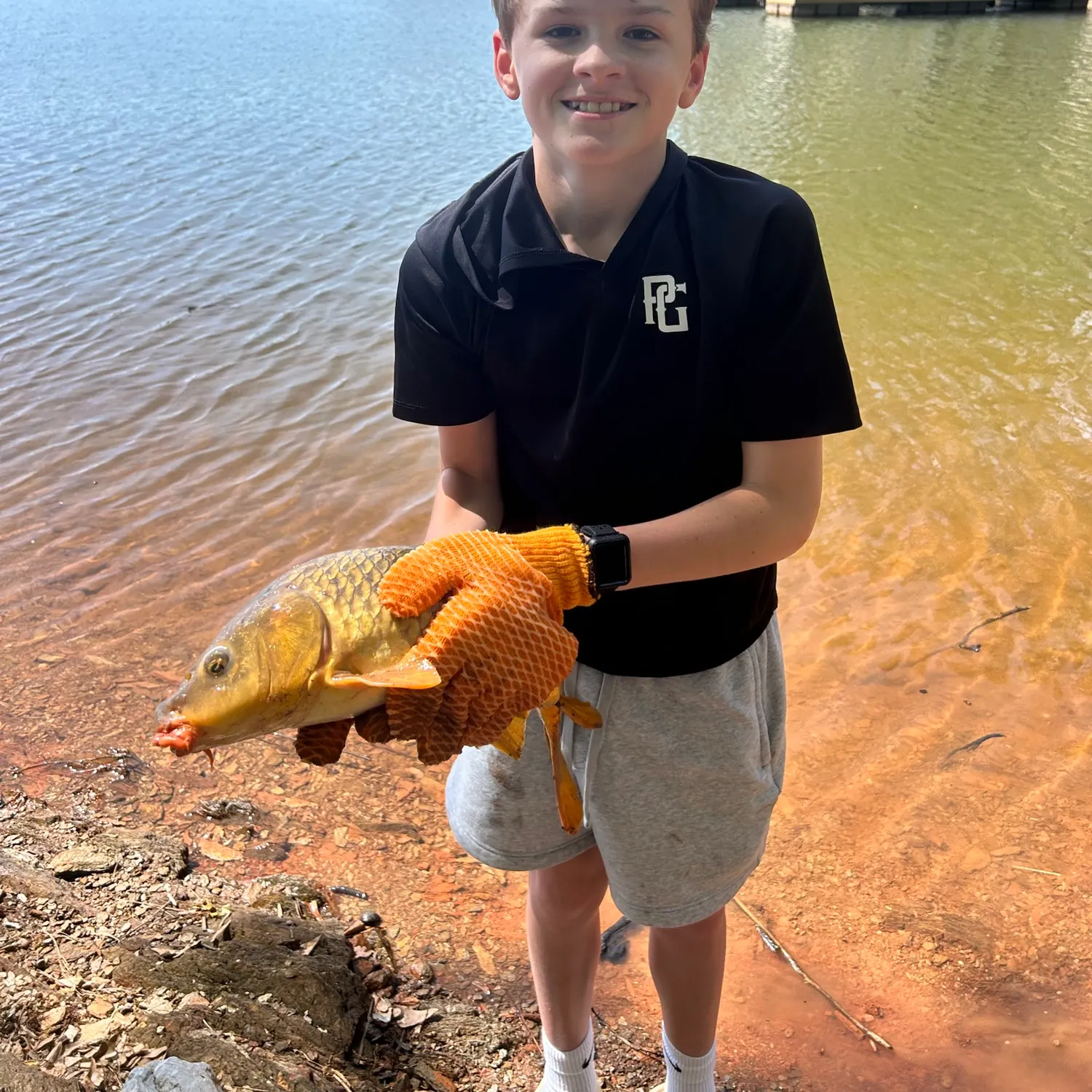 The most recent Silver redhorse catches on Fishbrain
