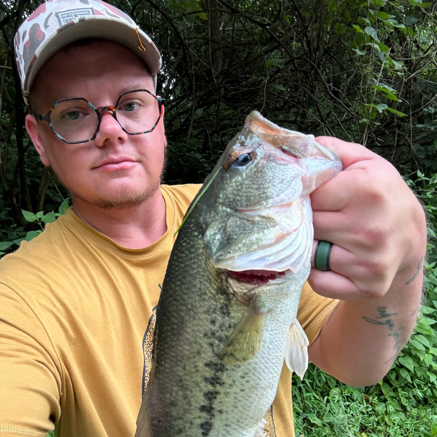 Largemouth bass caught on Fishbrain
