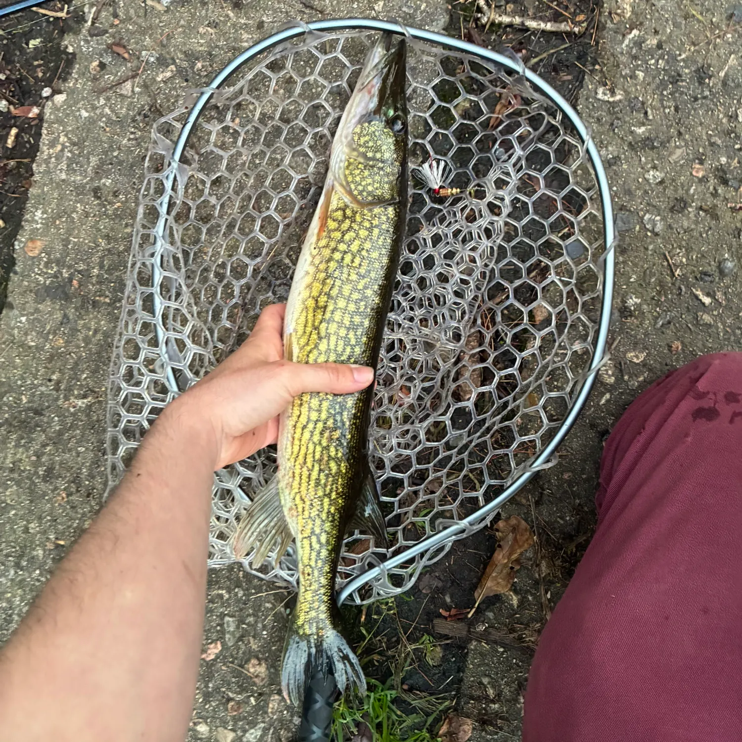 catch