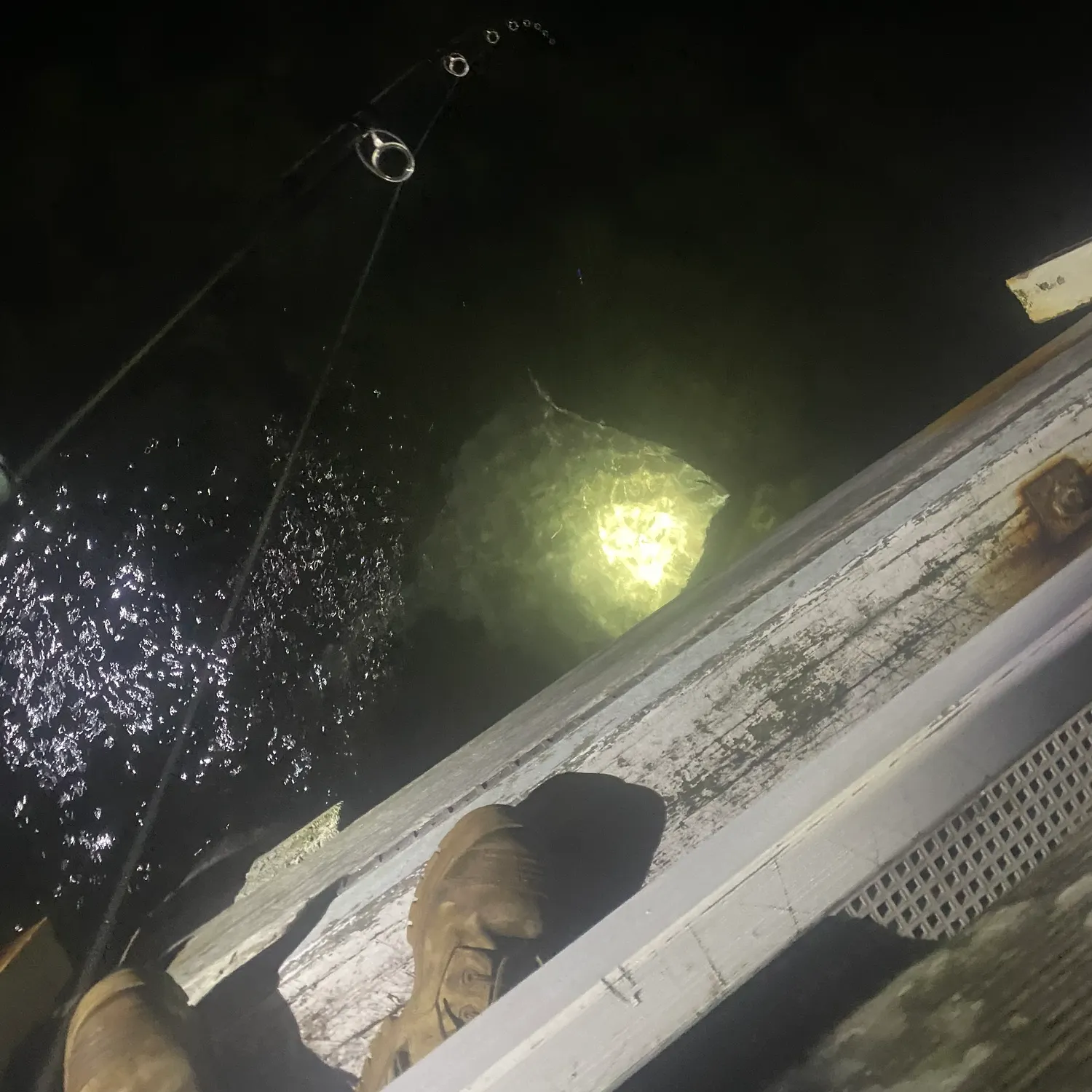 The most recent Thornback ray catches on Fishbrain