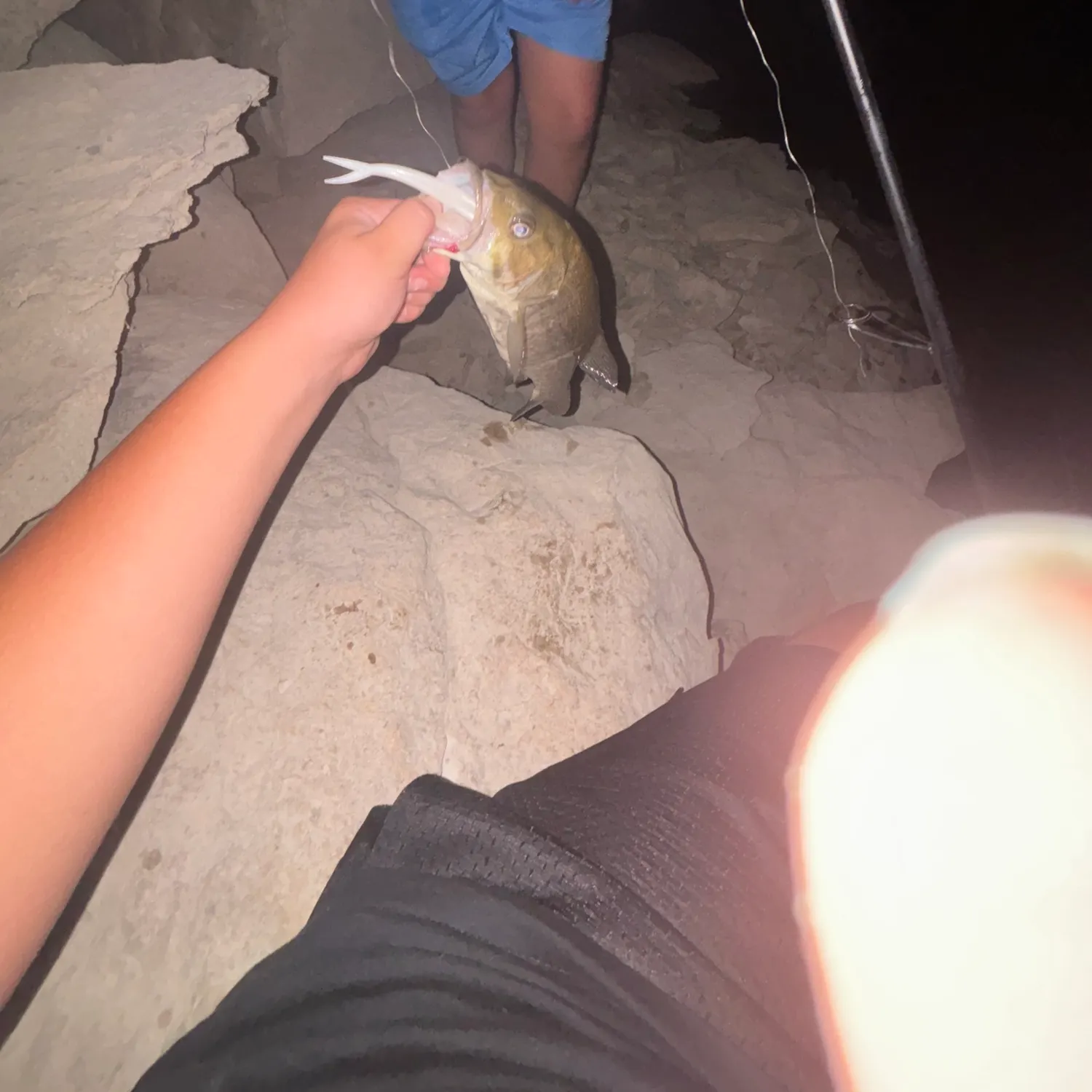 Smallmouth bass caught on Fishbrain