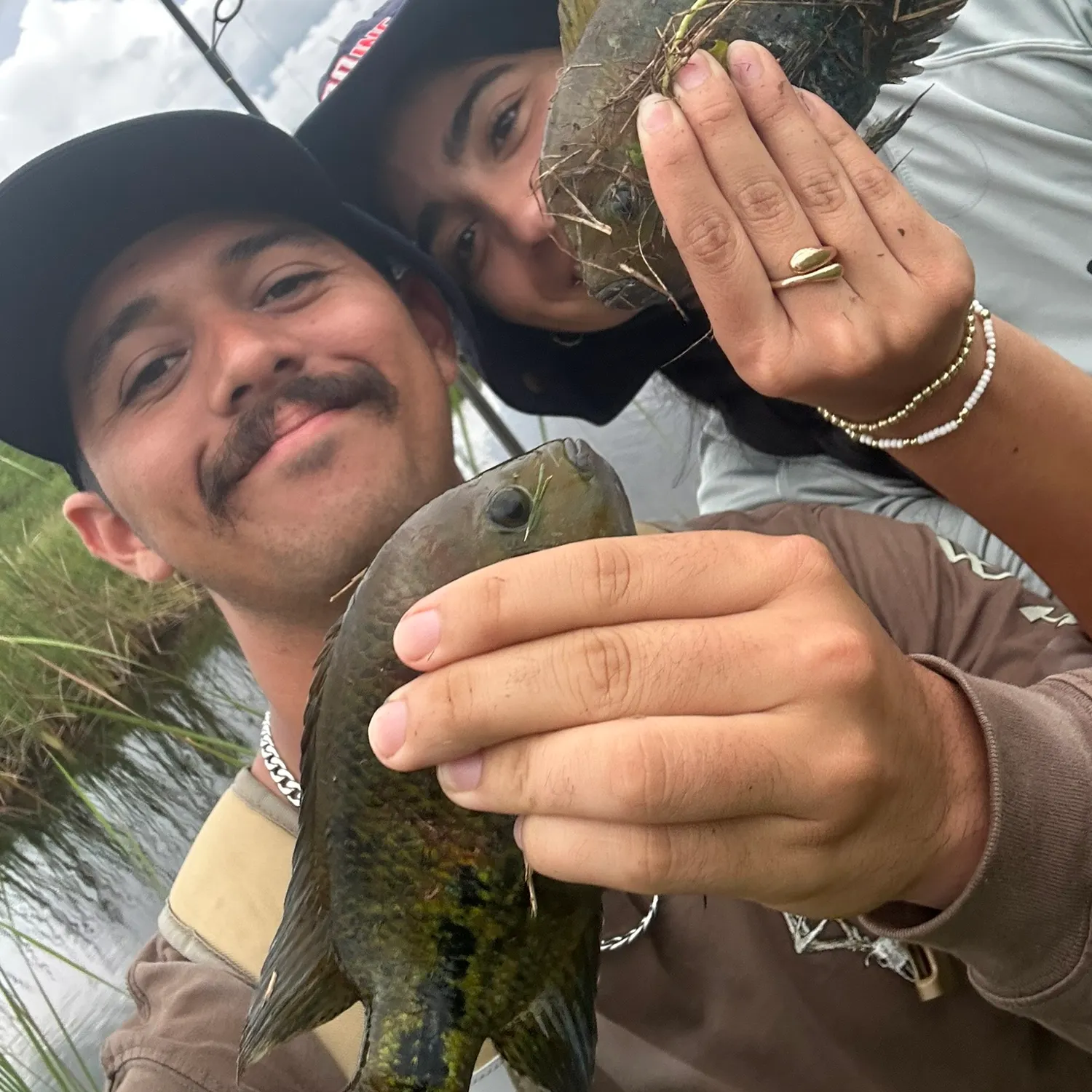 Redhead cichlid caught on Fishbrain