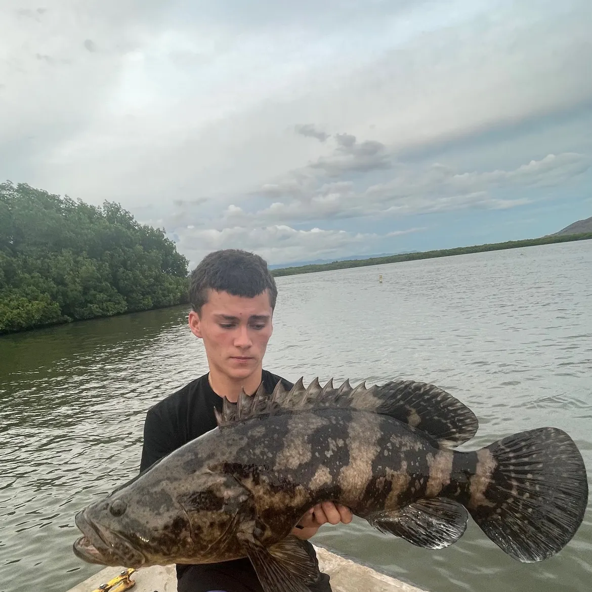 The most recent Pacific goliath grouper catches on Fishbrain