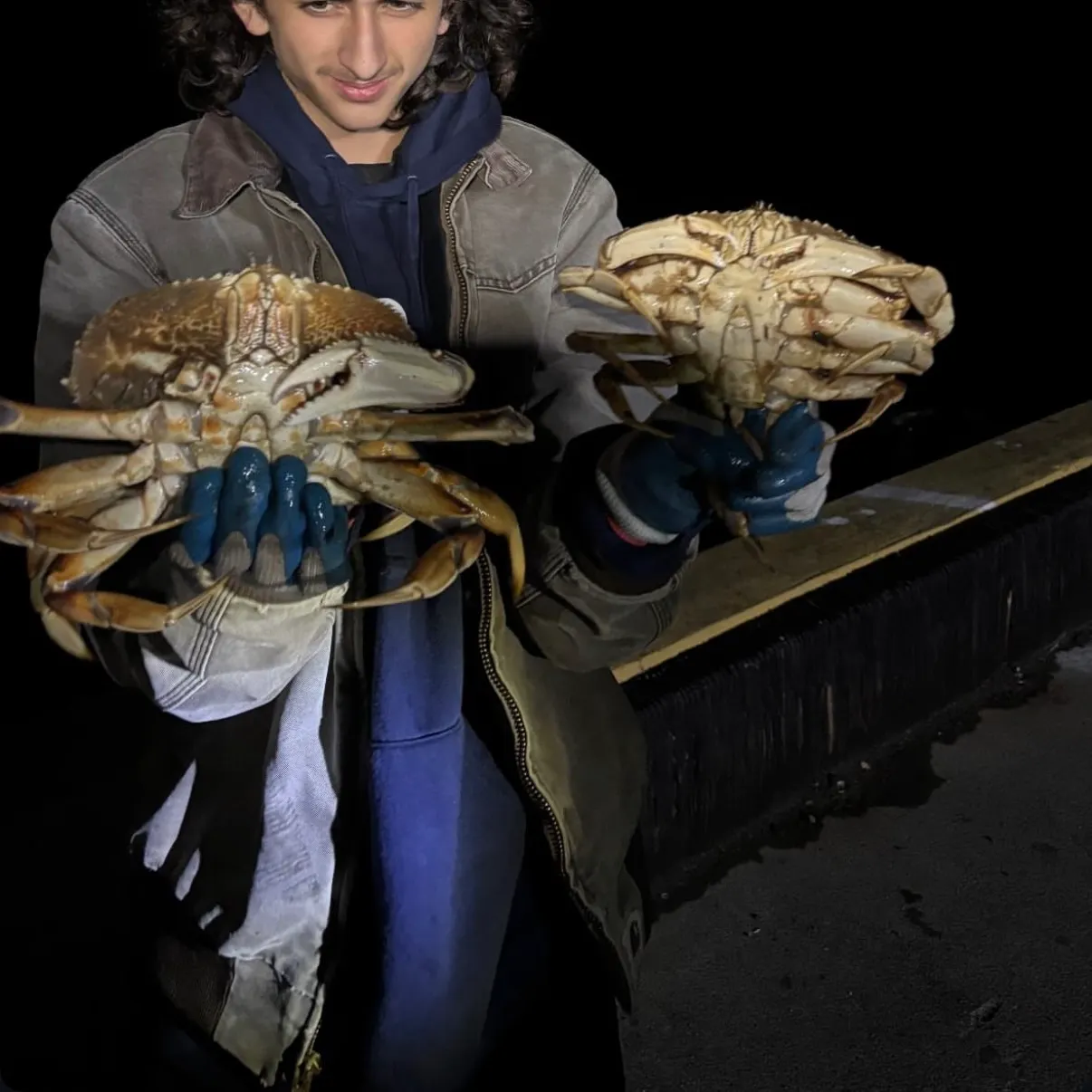 The most recent Dungeness crab catches on Fishbrain