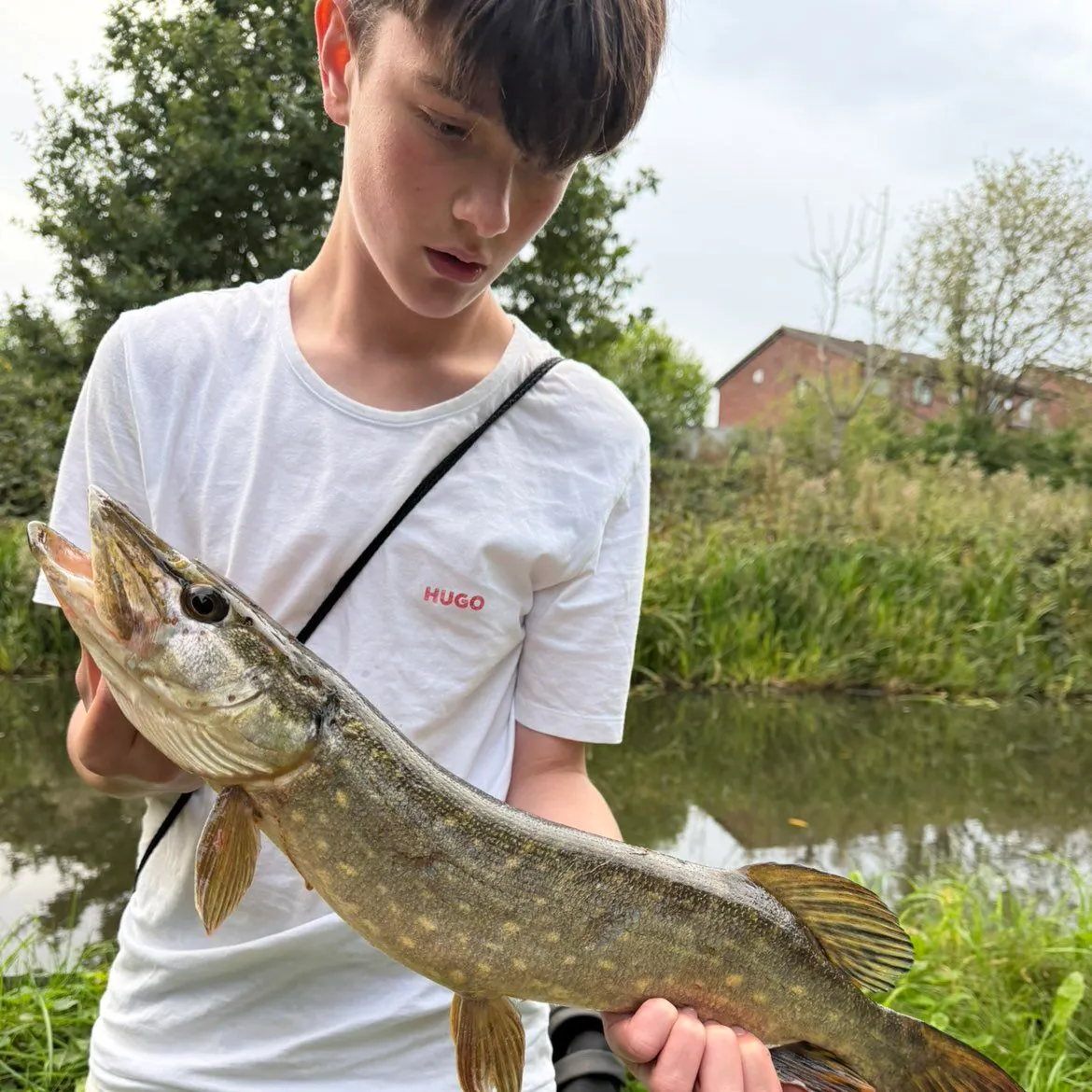 Fish caught on Fishbrain