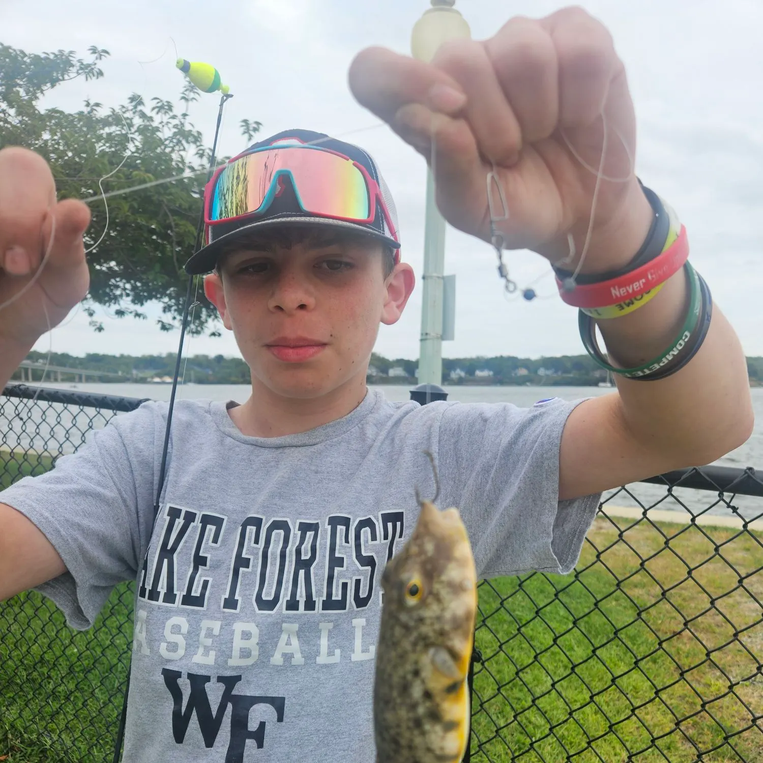 Northern puffer caught on Fishbrain