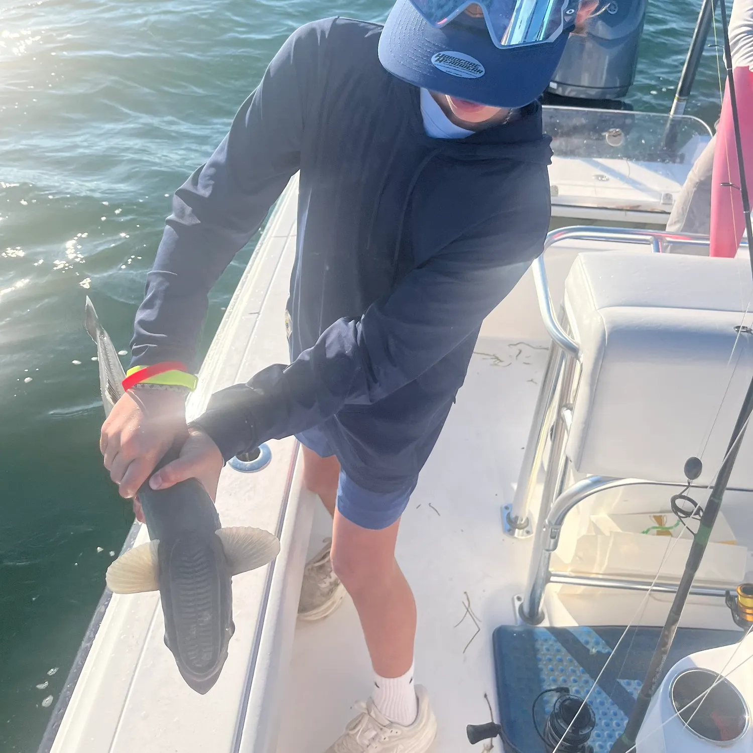 The most recent Common remora catches on Fishbrain