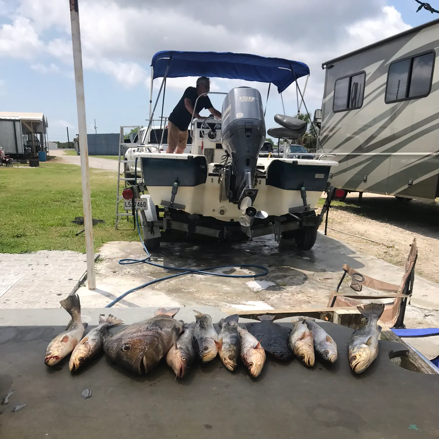 recently logged catches