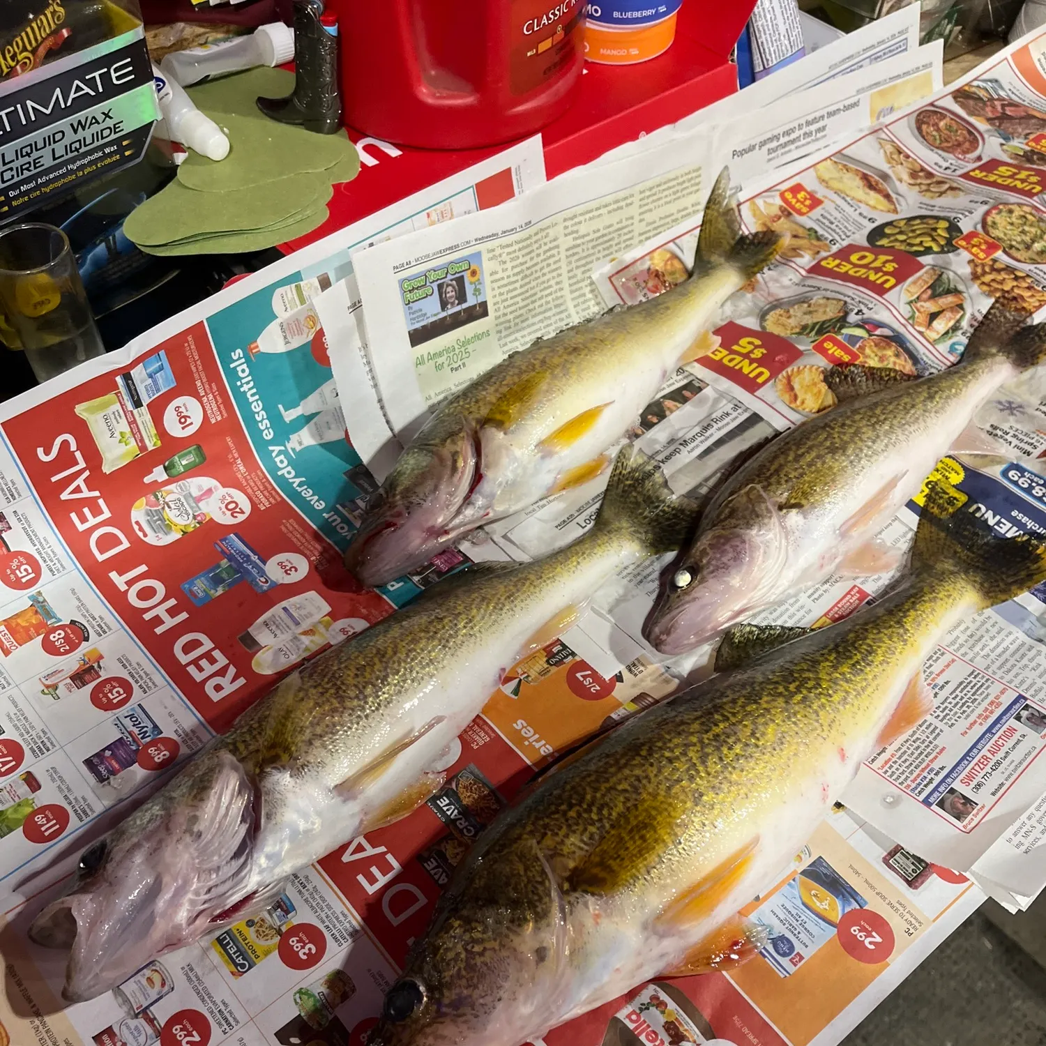 recently logged catches