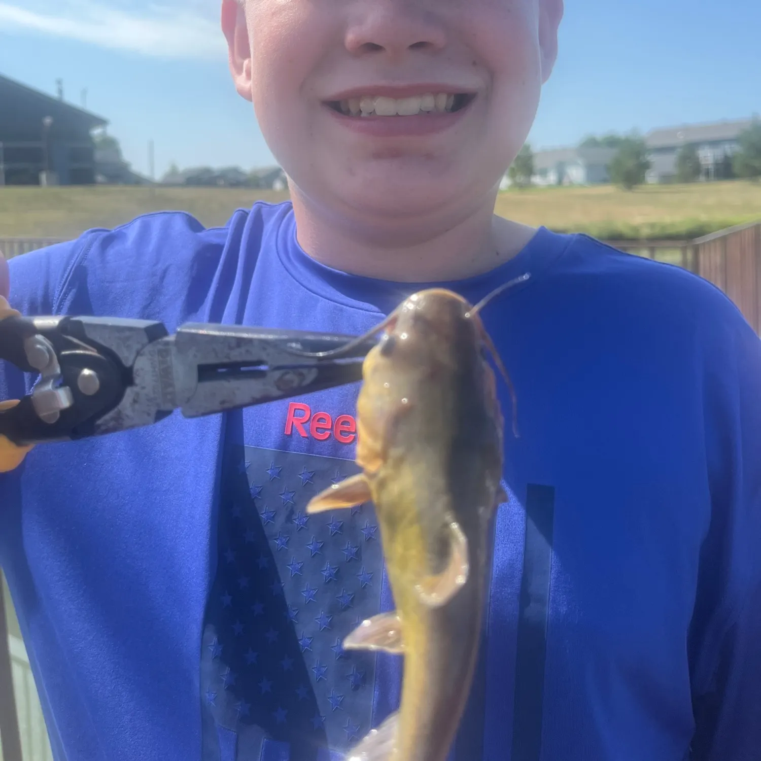 Black bullhead caught on Fishbrain