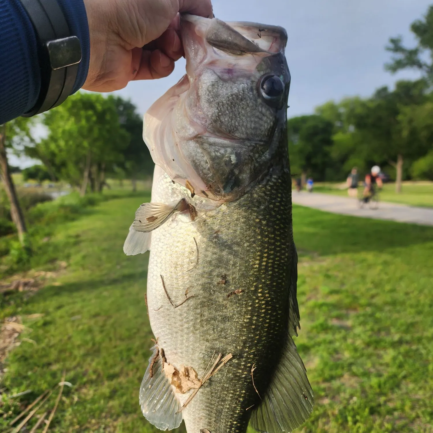 catch