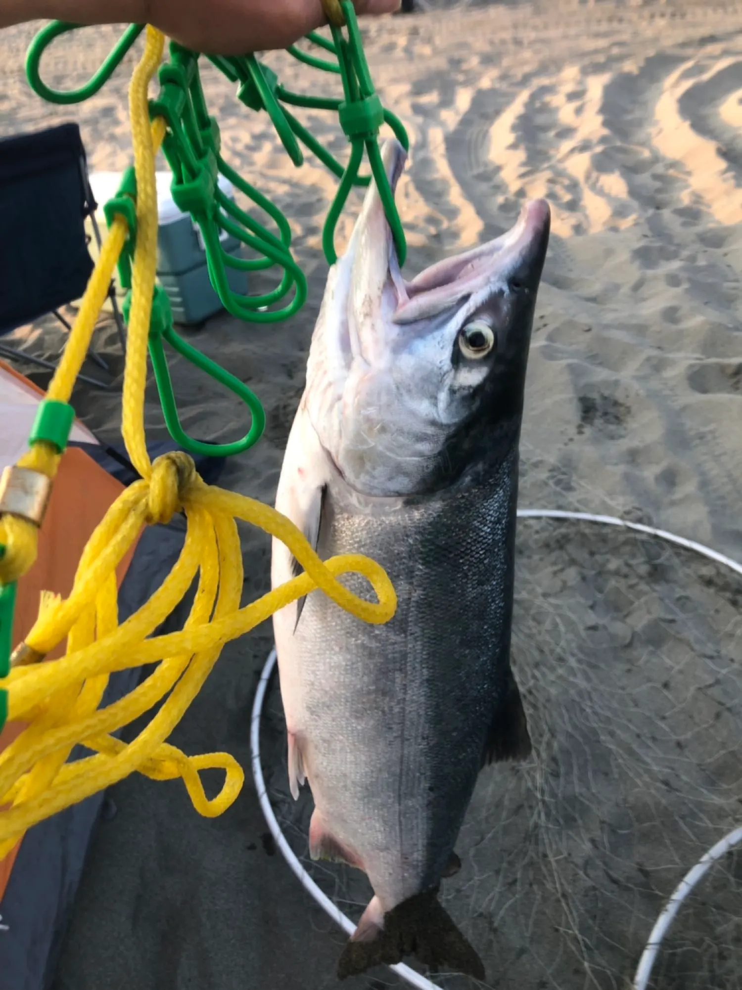 Post image from slesemann