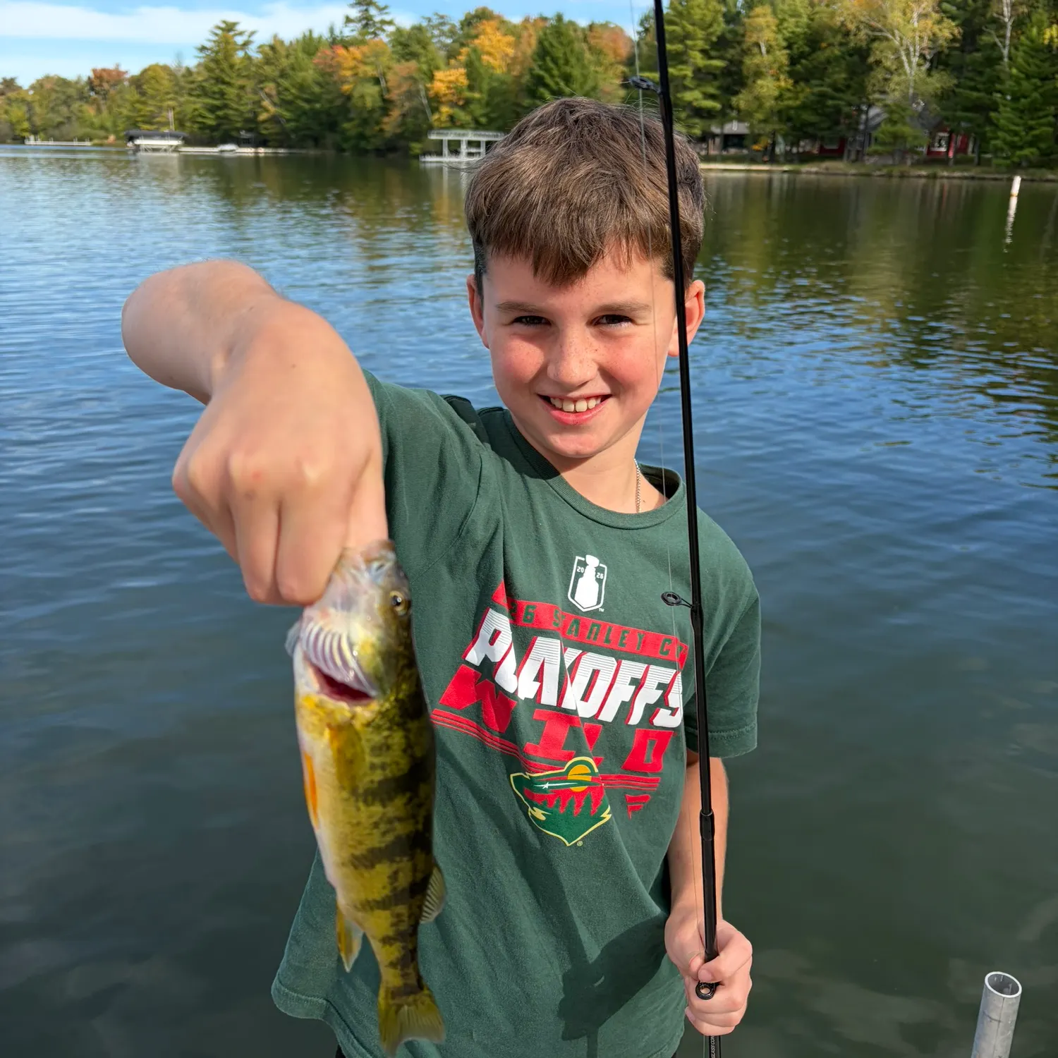 Yellow perch caught on Fishbrain