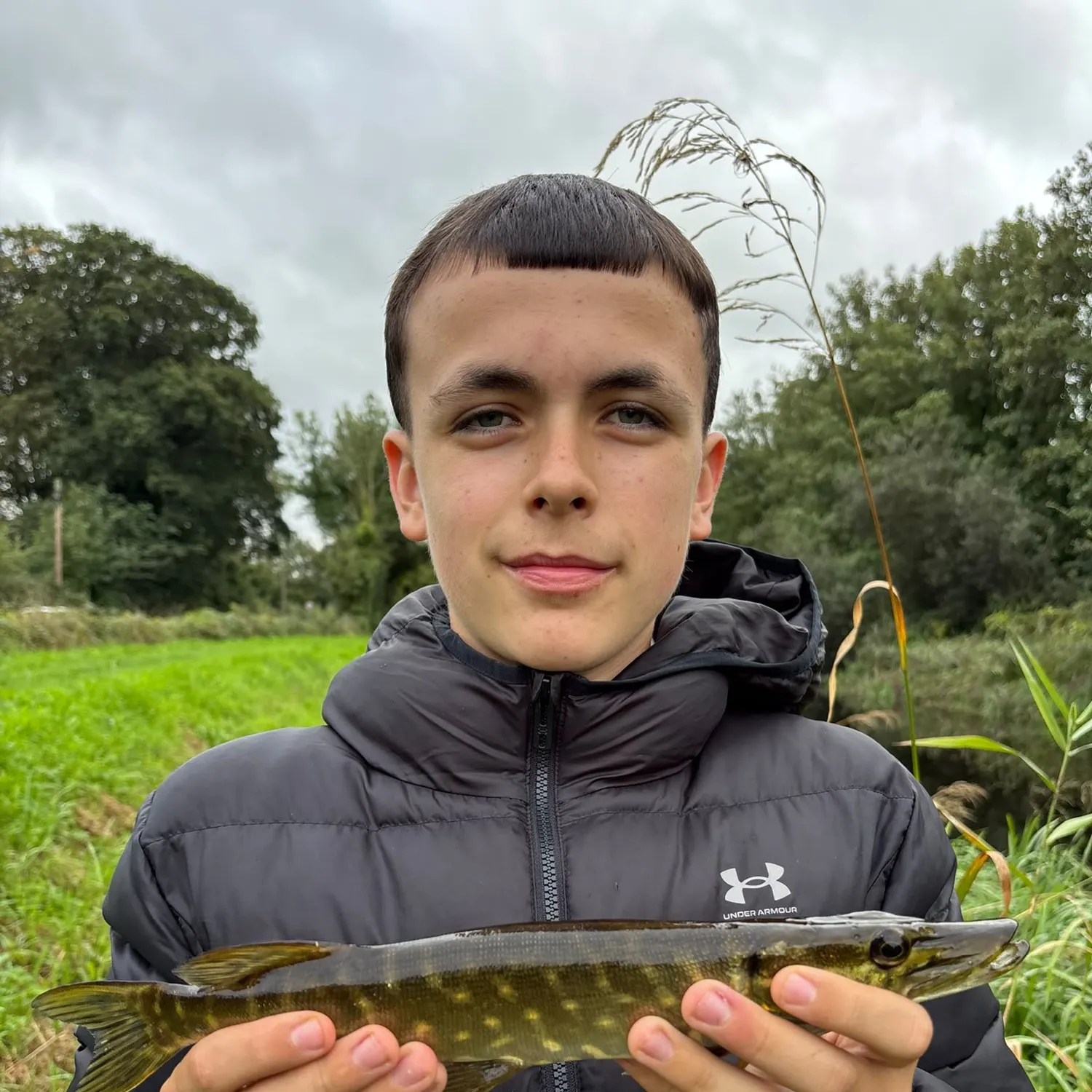 Northern pike caught on Fishbrain