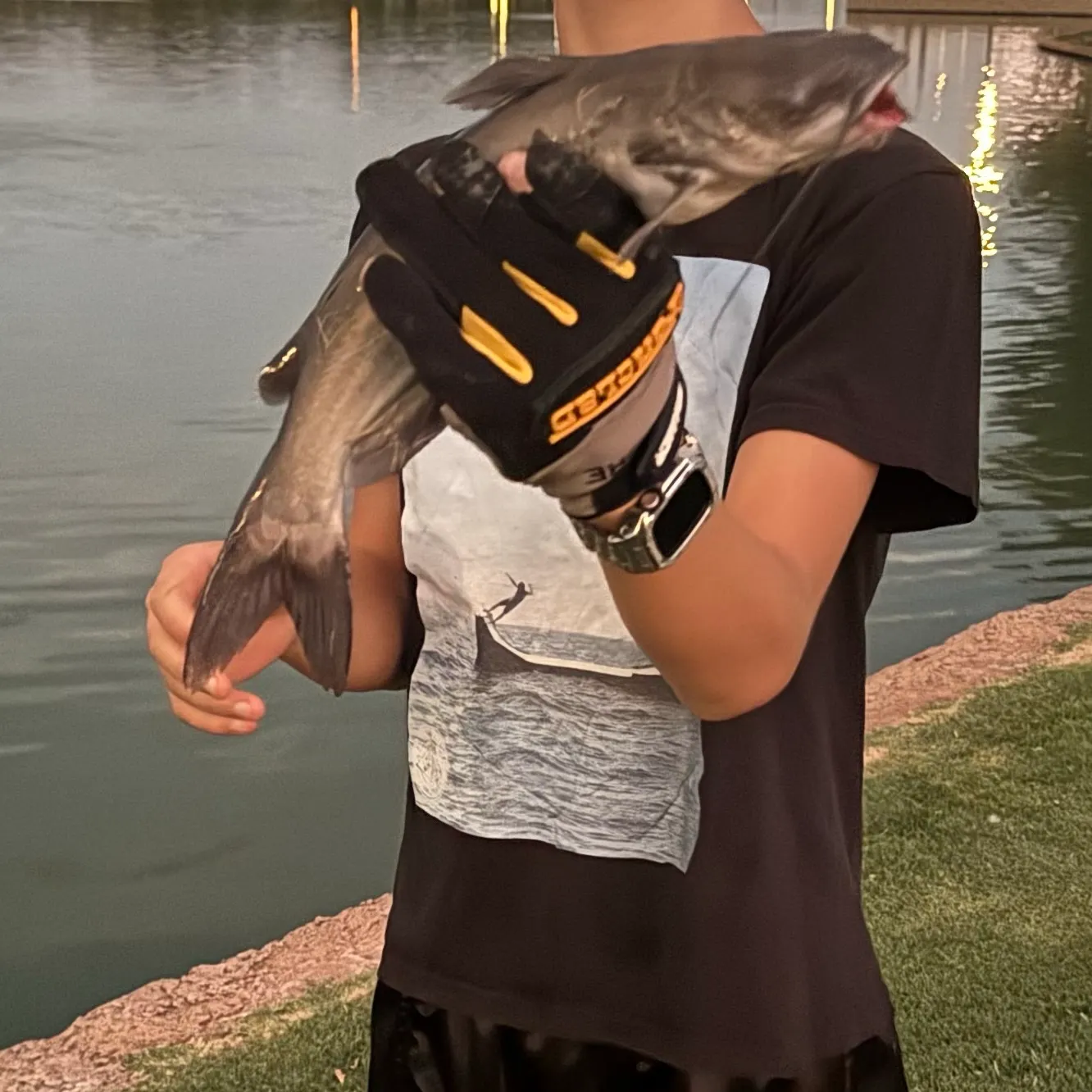 Channel catfish caught on Fishbrain