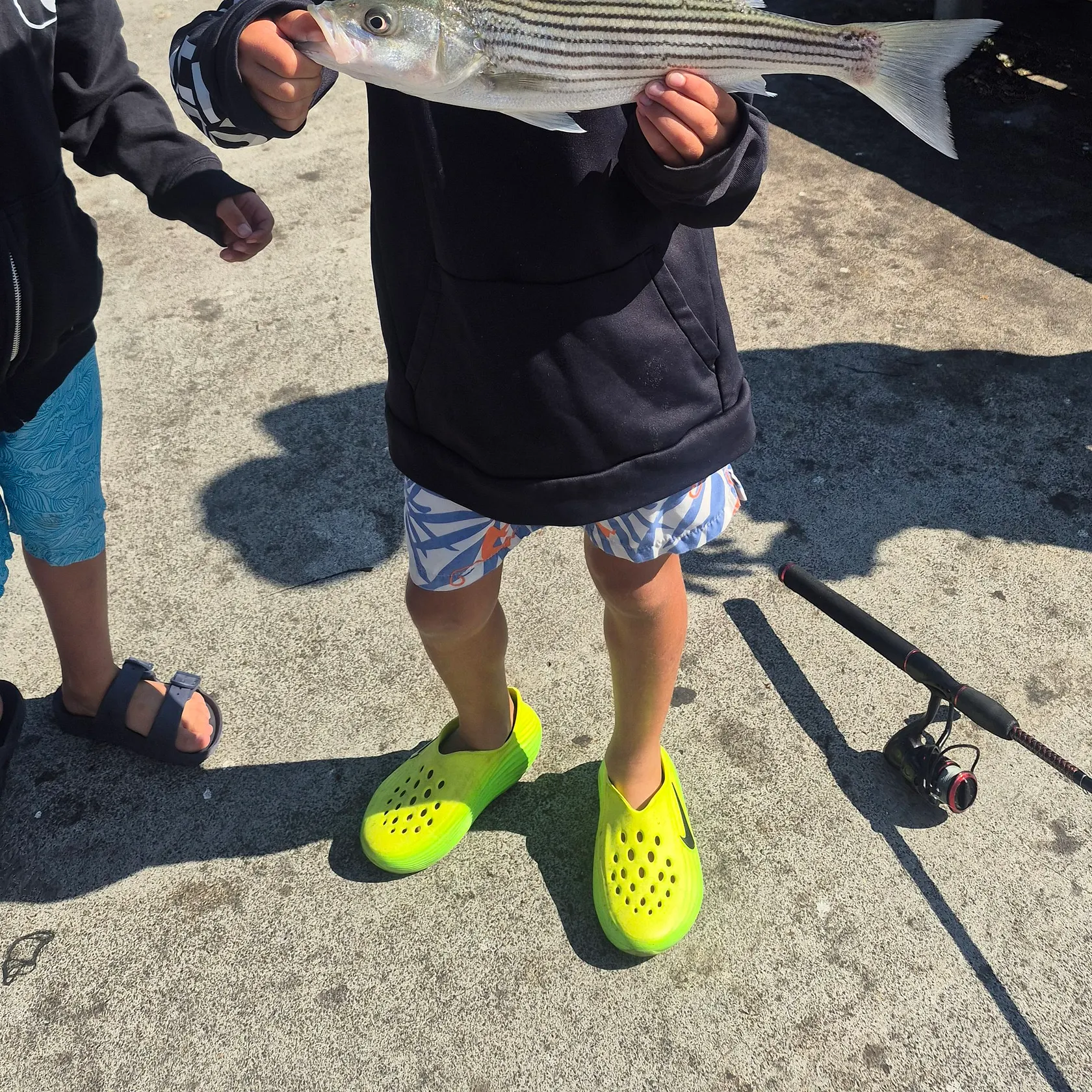 Striped bass caught on Fishbrain
