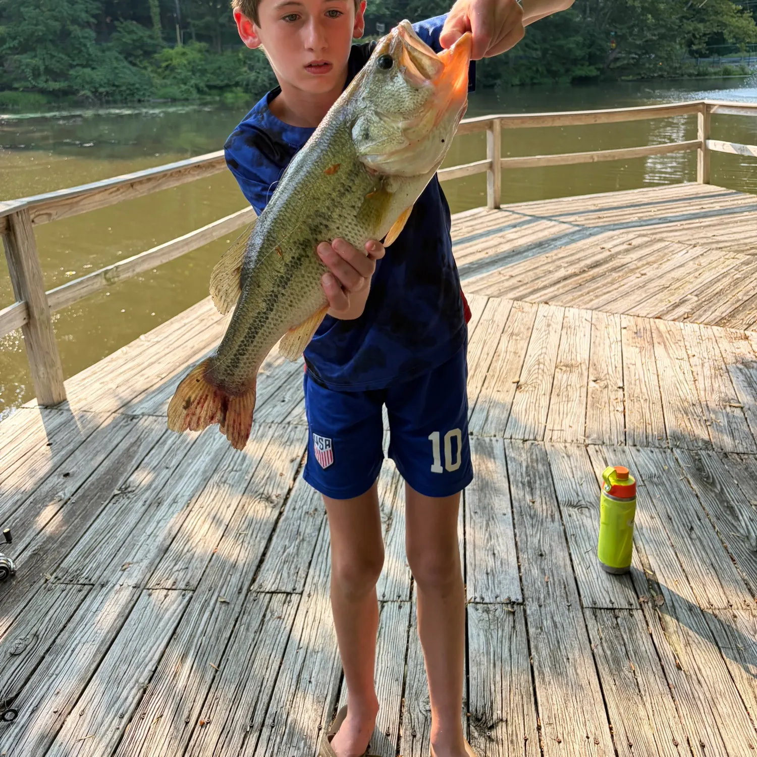 Largemouth bass caught on Fishbrain