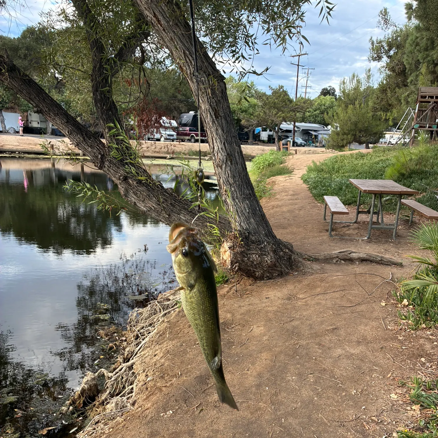 catch