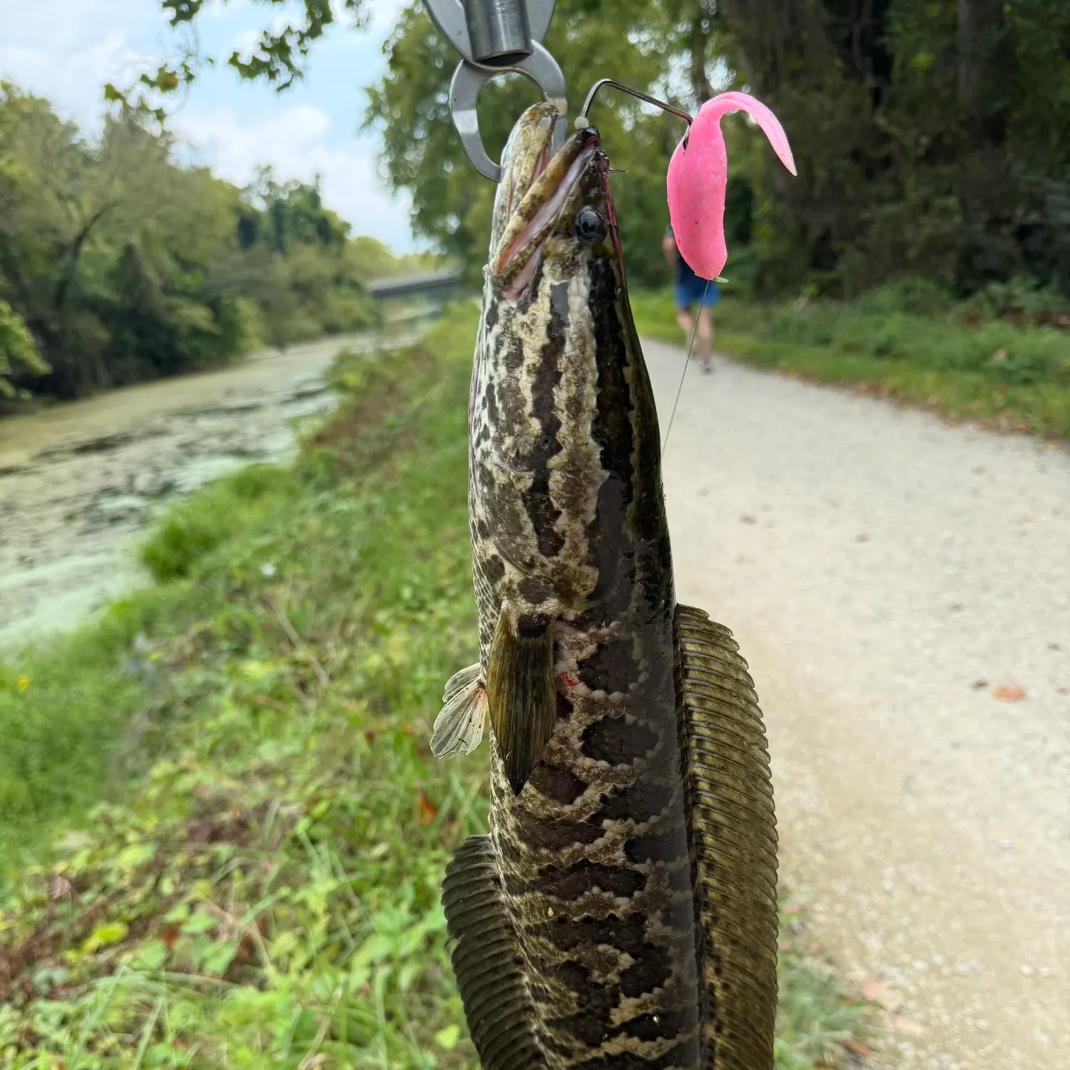 catch
