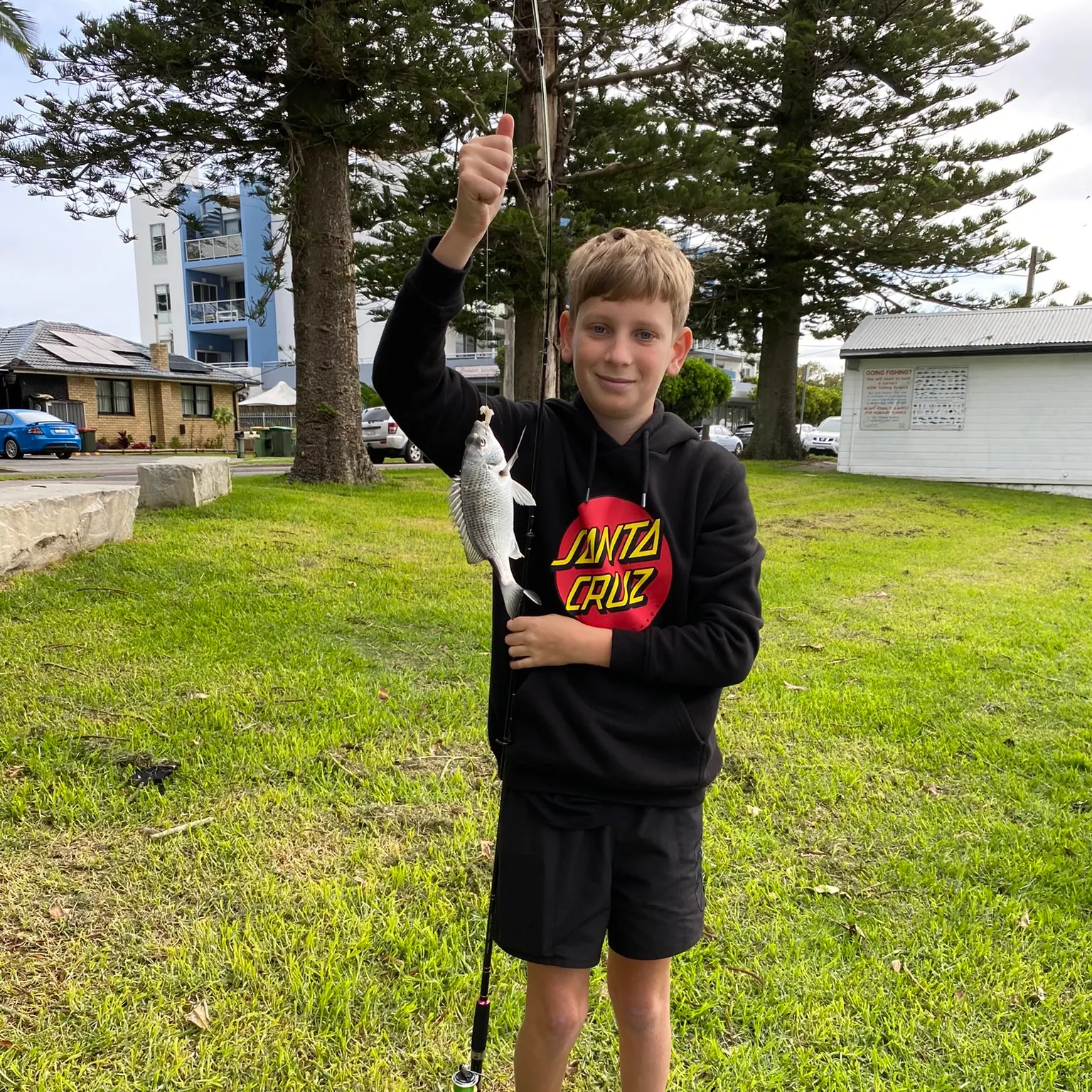 The most recent Surf bream catches on Fishbrain