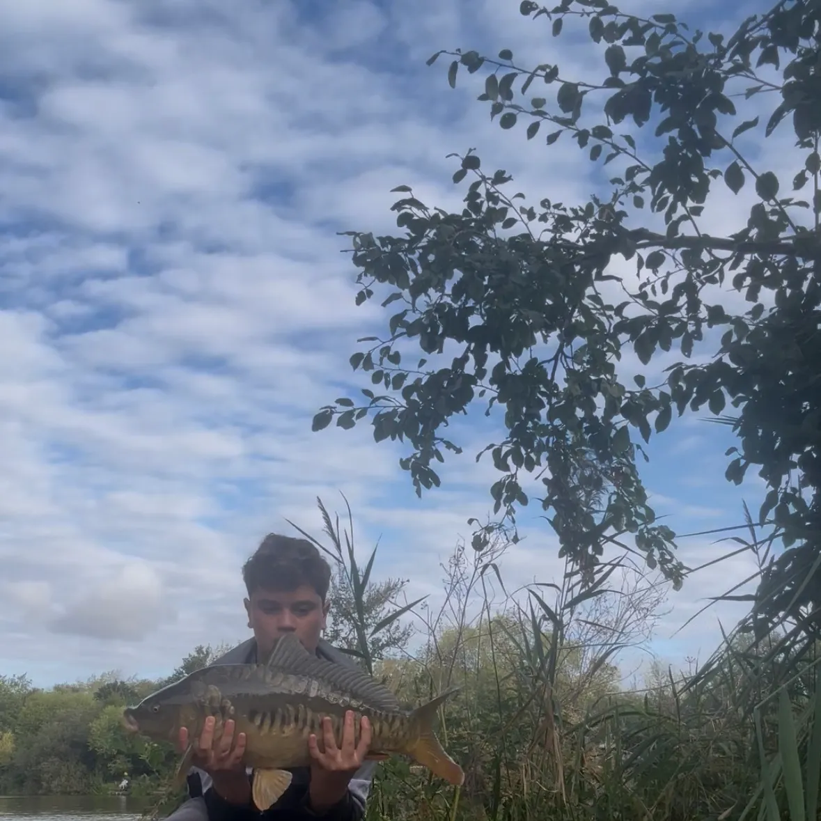 Mirror carp caught on Fishbrain