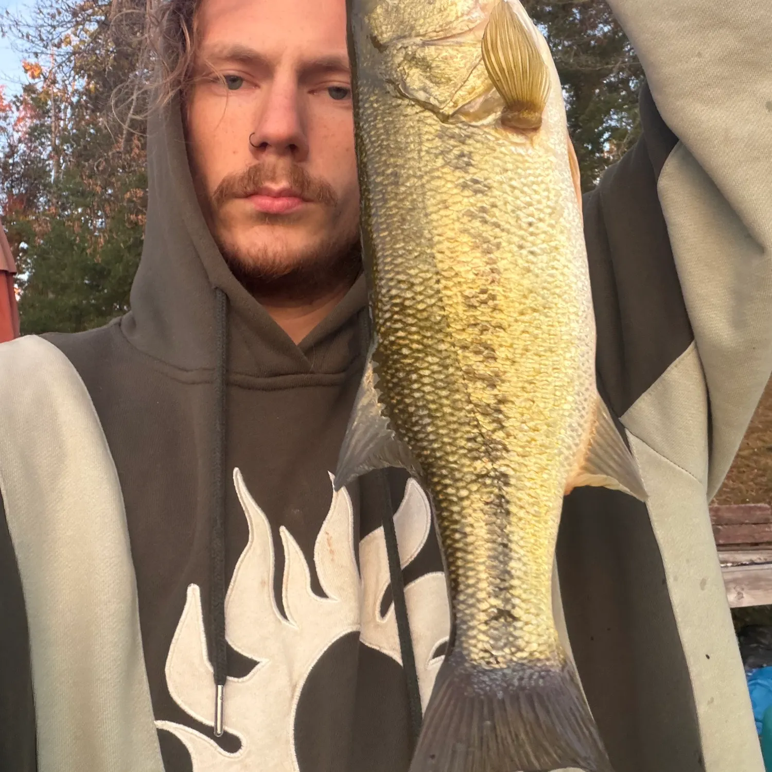Largemouth bass caught on Fishbrain