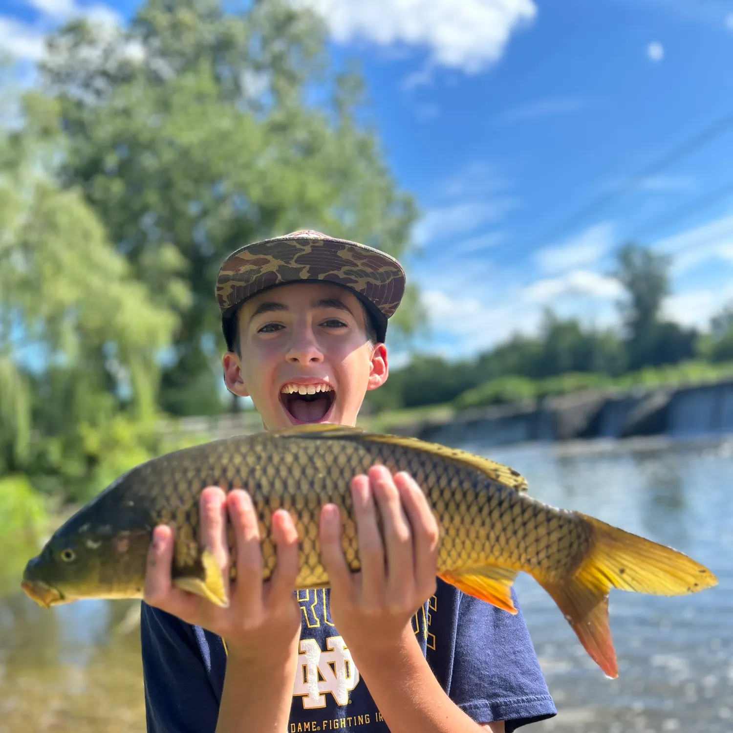 Common carp caught on Fishbrain