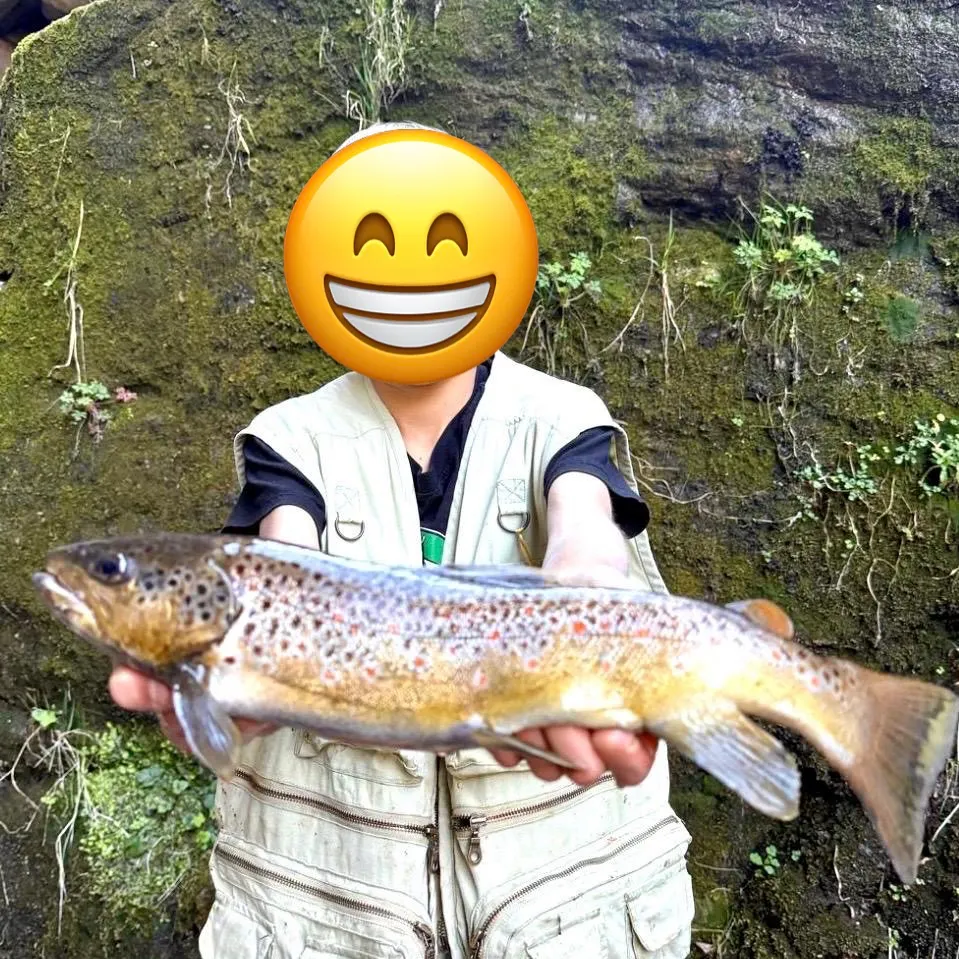 Lake trout caught on Fishbrain