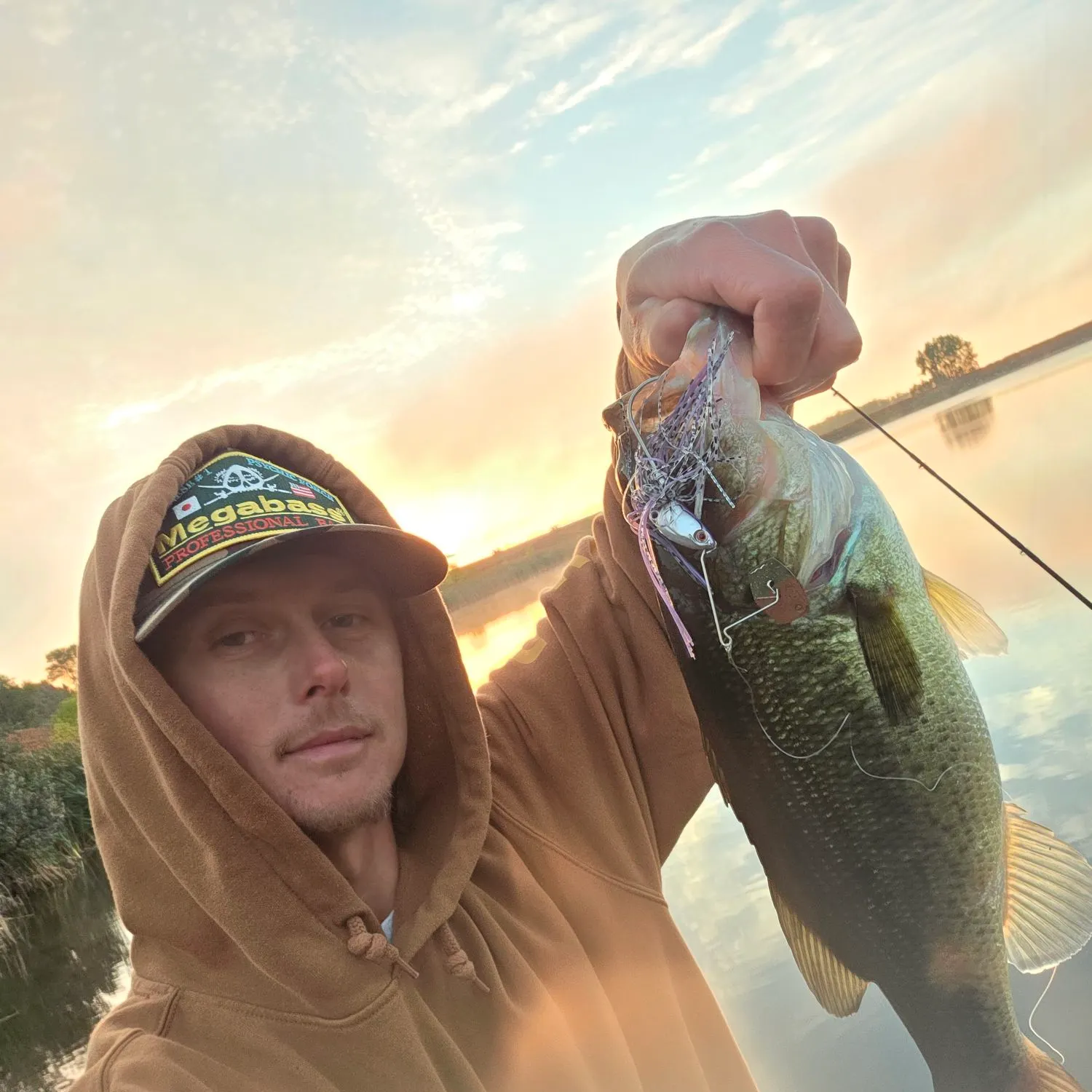 Largemouth bass caught on Fishbrain