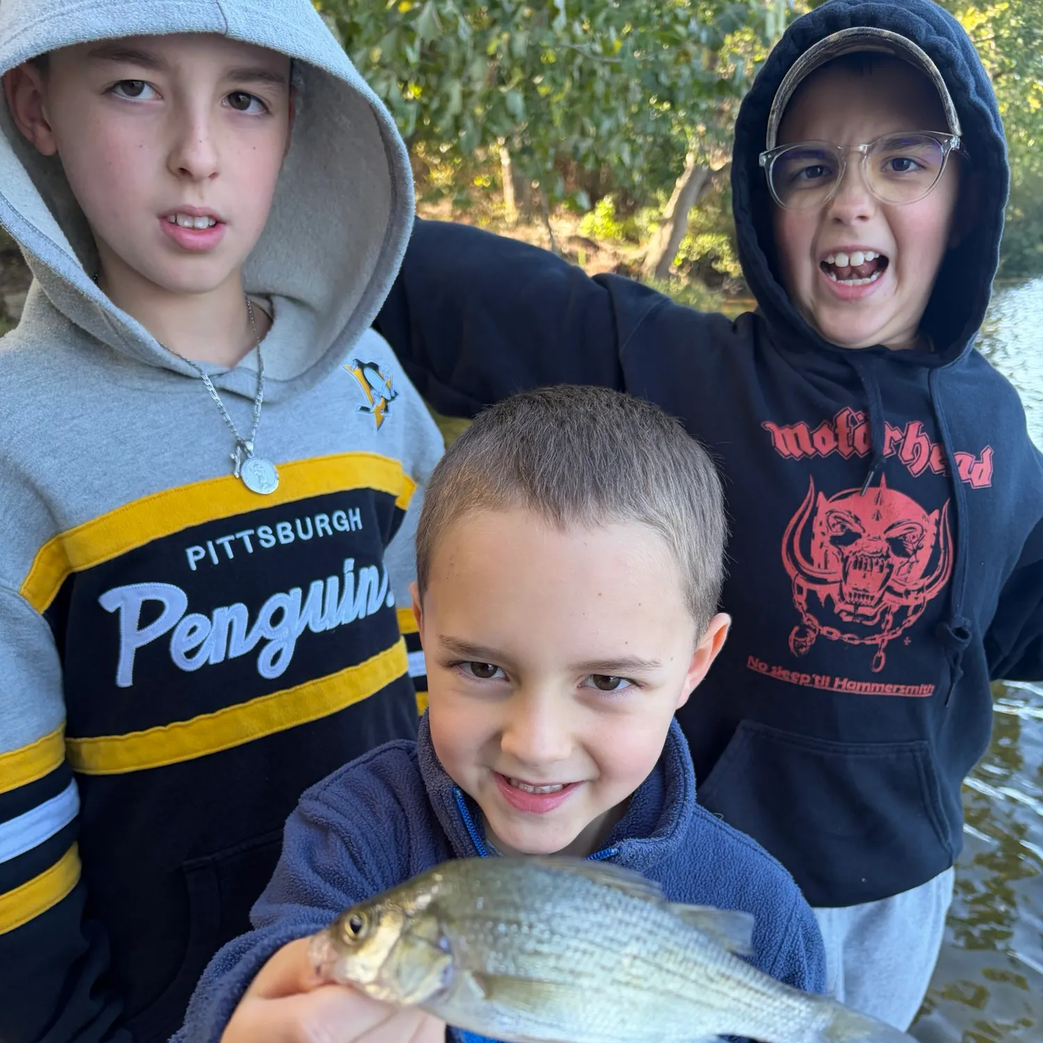 White perch caught on Fishbrain