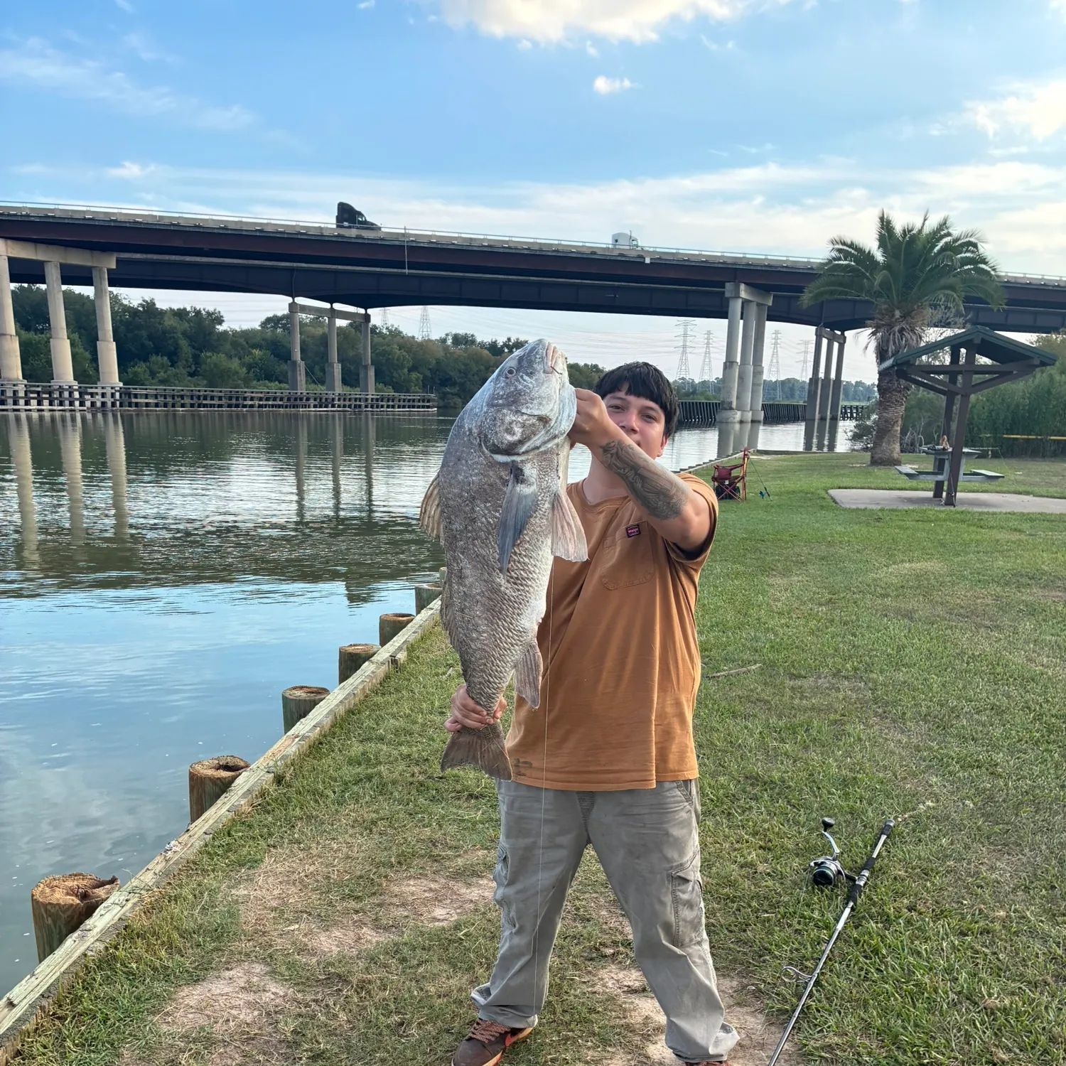 Black drum caught on Fishbrain