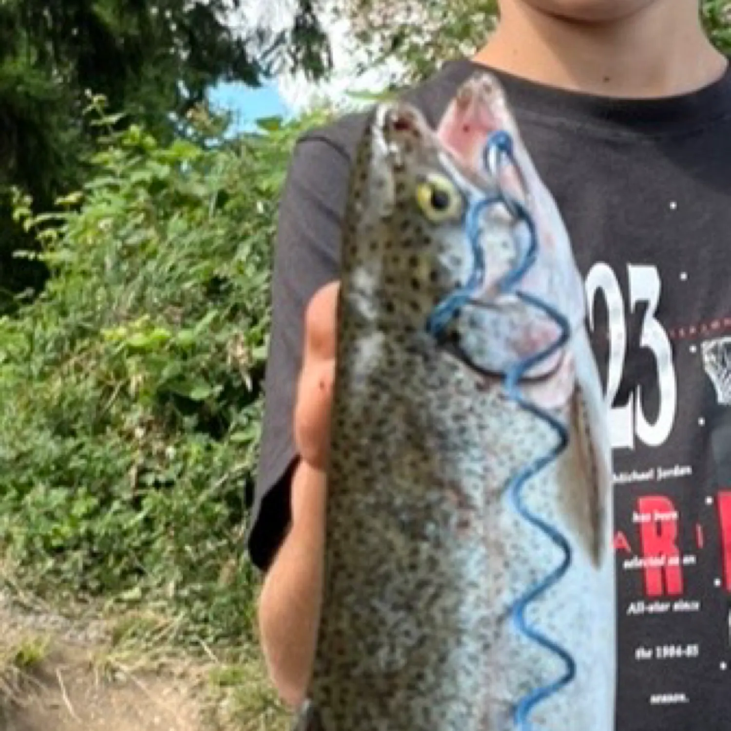 The most recent Rainbow trout catches on Fishbrain