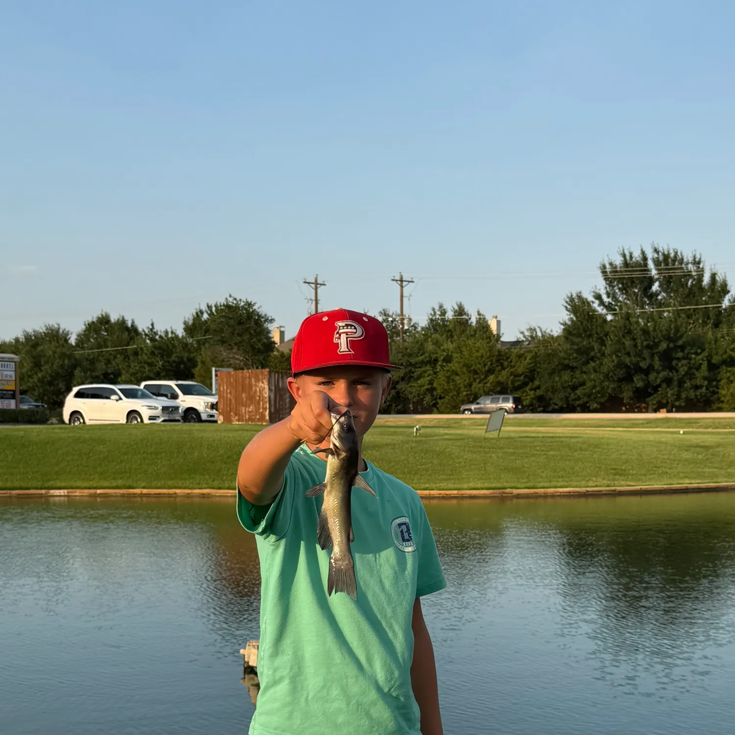 Black bullhead caught on Fishbrain
