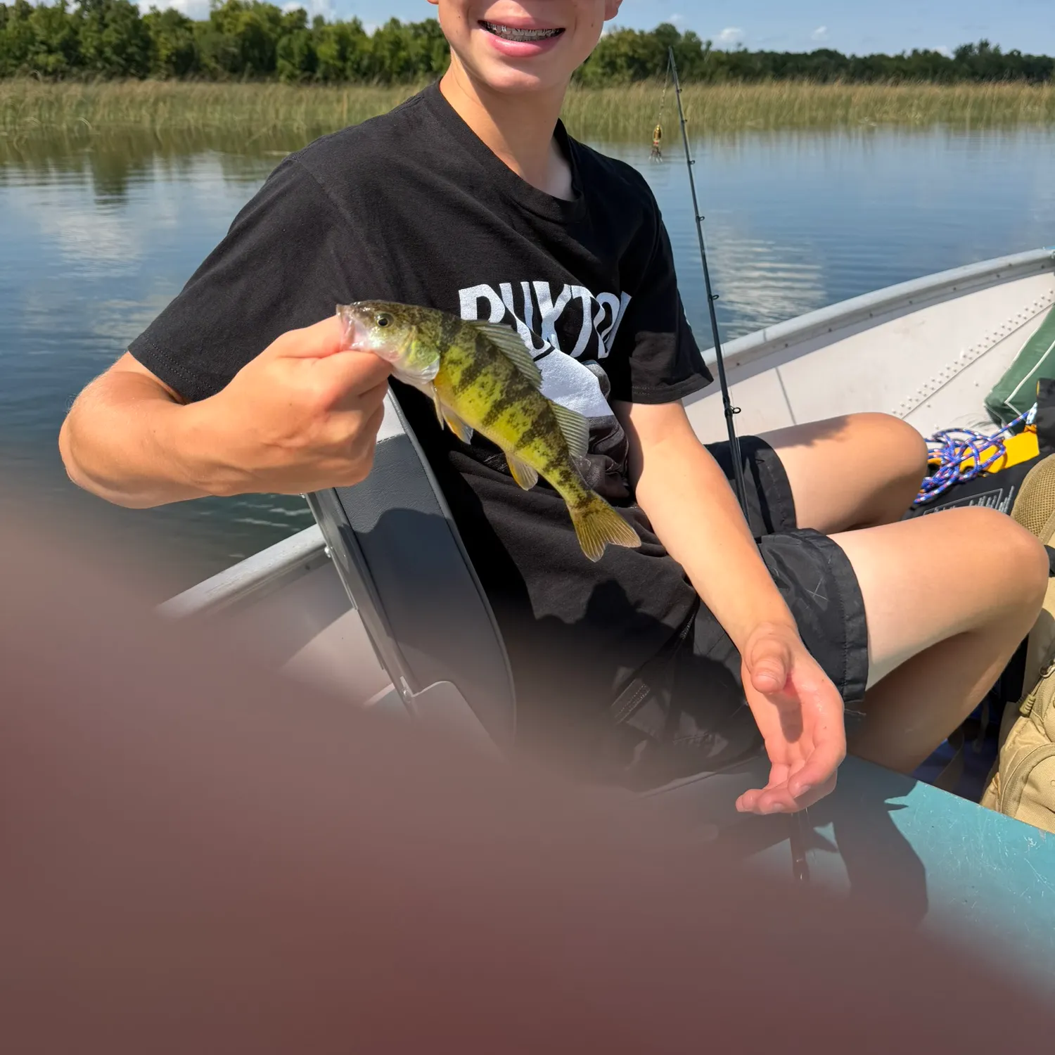 Yellow perch caught on Fishbrain