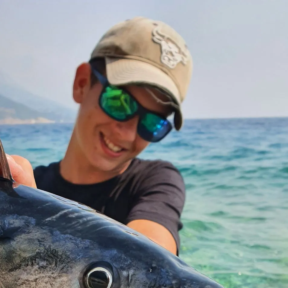 Atlantic bonito caught on Fishbrain
