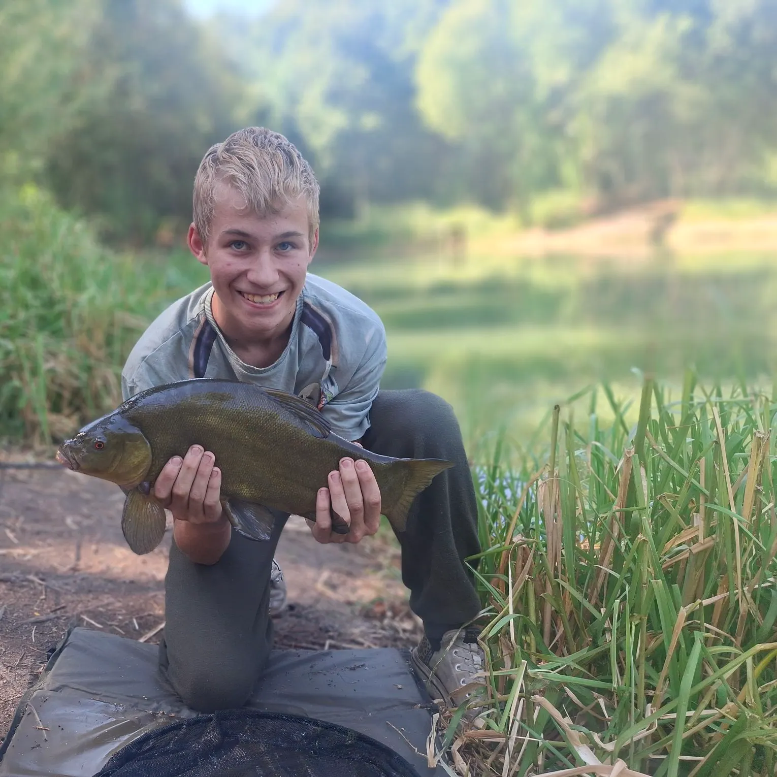 Tench caught on Fishbrain