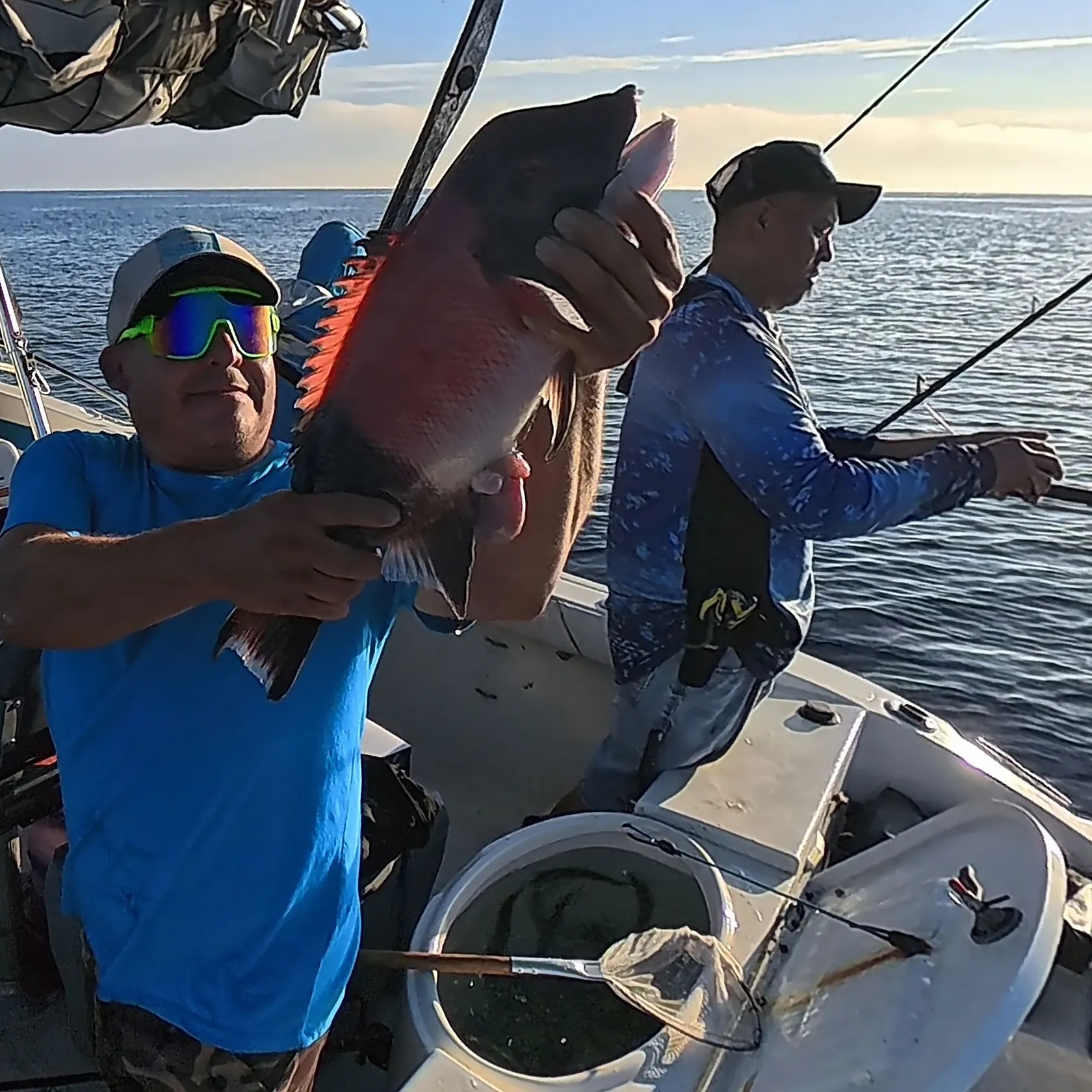 The most recent California sheephead catches on Fishbrain