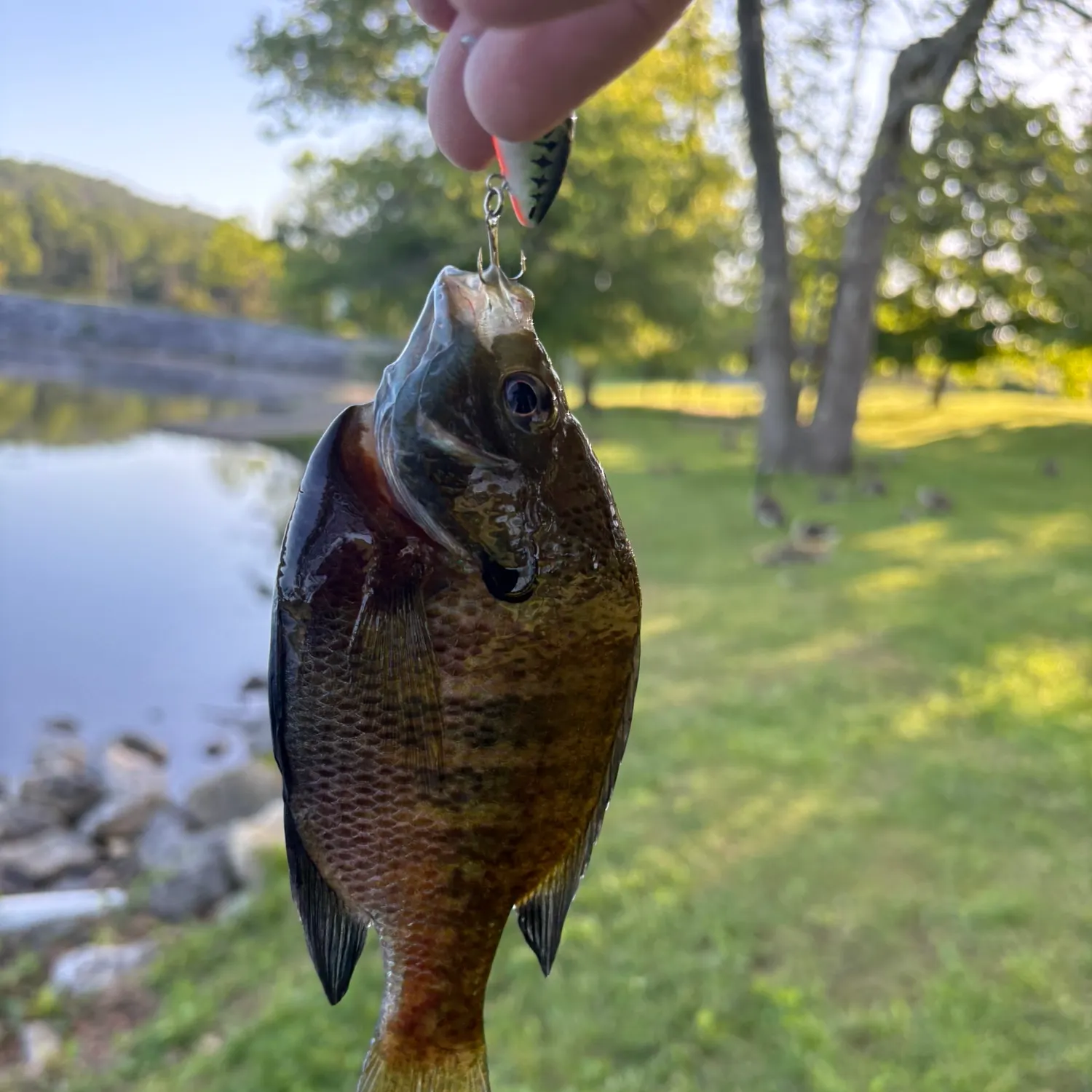 catch