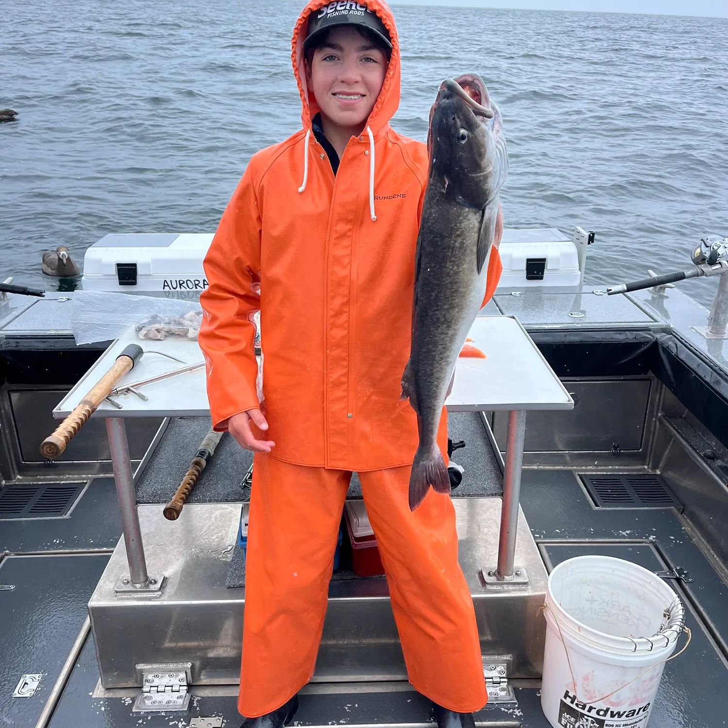 The most recent Sablefish catches on Fishbrain