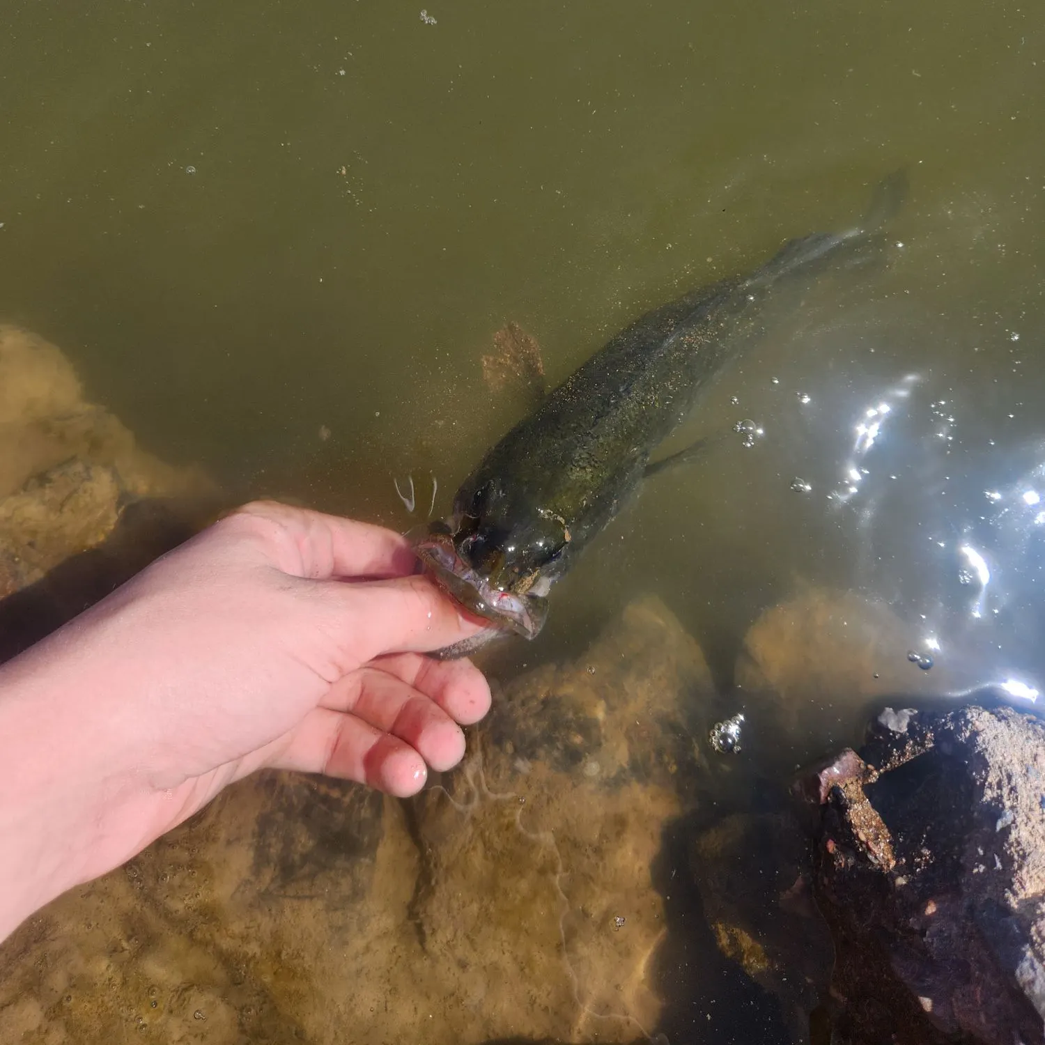 catch